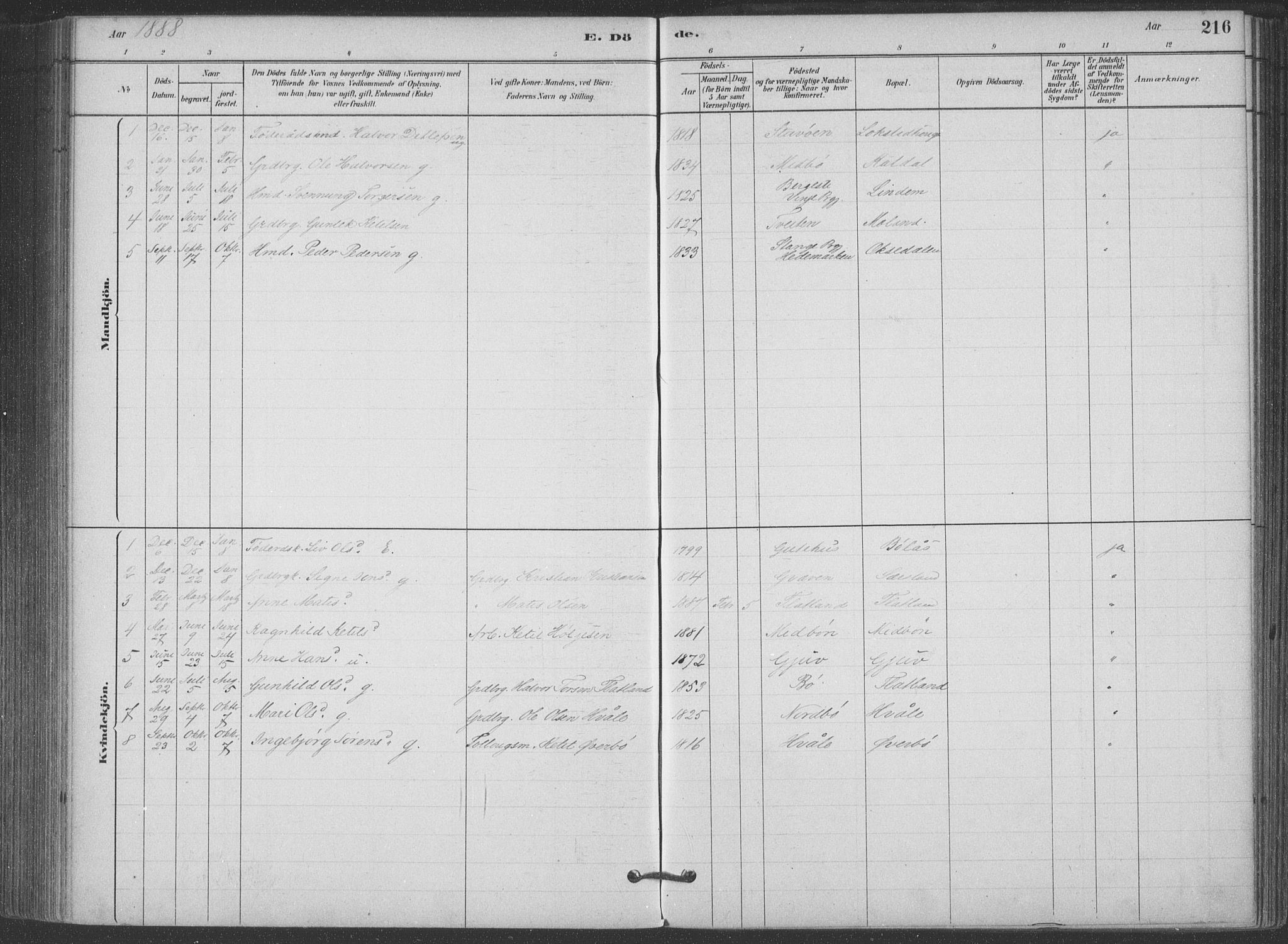 Hjartdal kirkebøker, SAKO/A-270/F/Fa/L0010: Parish register (official) no. I 10, 1880-1929, p. 216