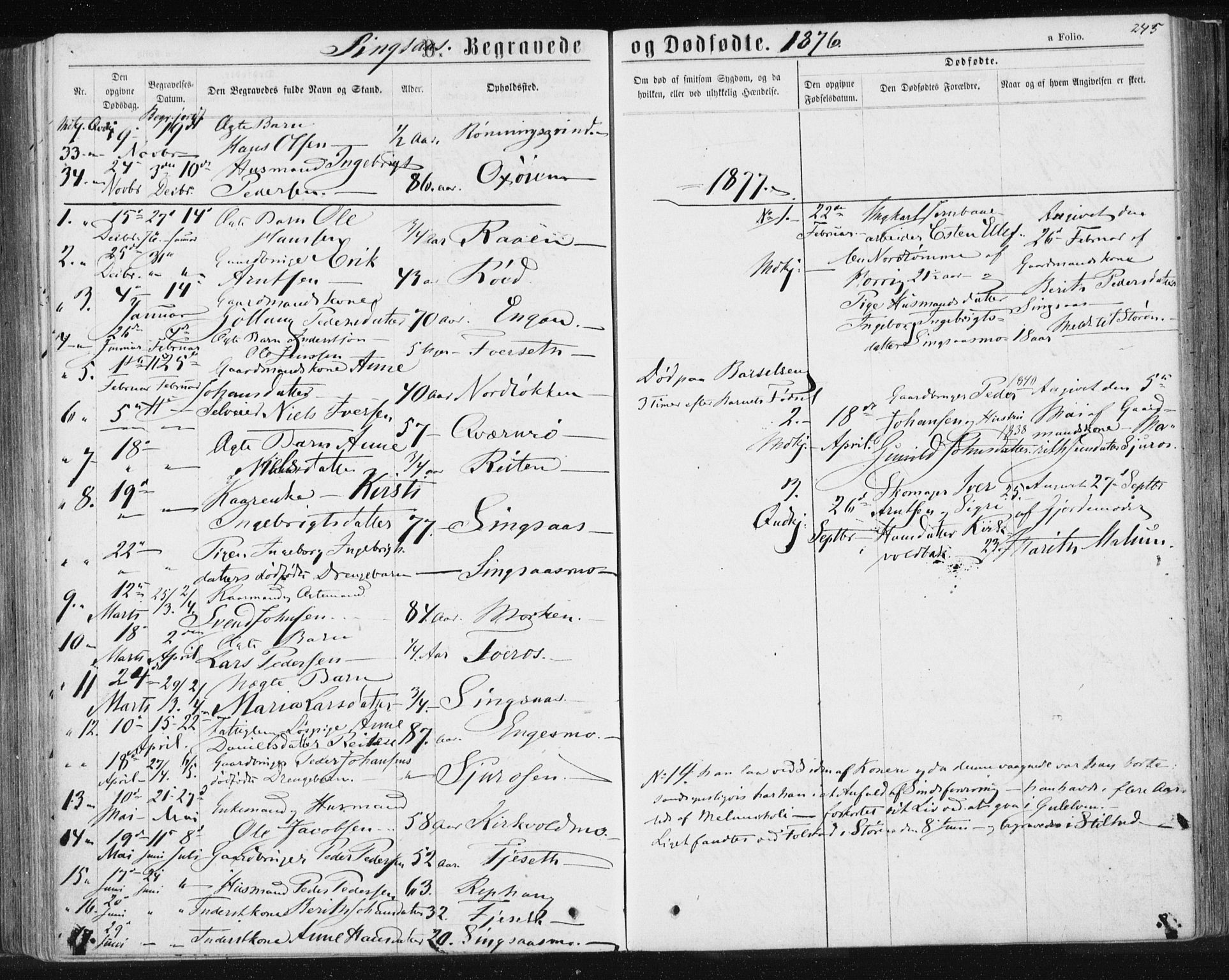 Ministerialprotokoller, klokkerbøker og fødselsregistre - Sør-Trøndelag, SAT/A-1456/685/L0970: Parish register (official) no. 685A08 /2, 1870-1878, p. 245