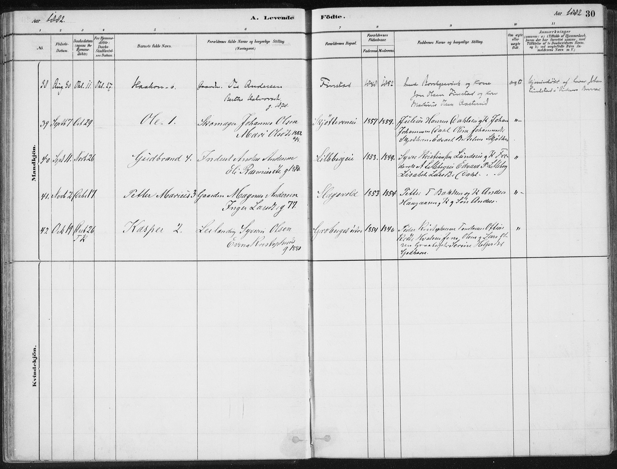 Romedal prestekontor, AV/SAH-PREST-004/K/L0010: Parish register (official) no. 10, 1880-1895, p. 30