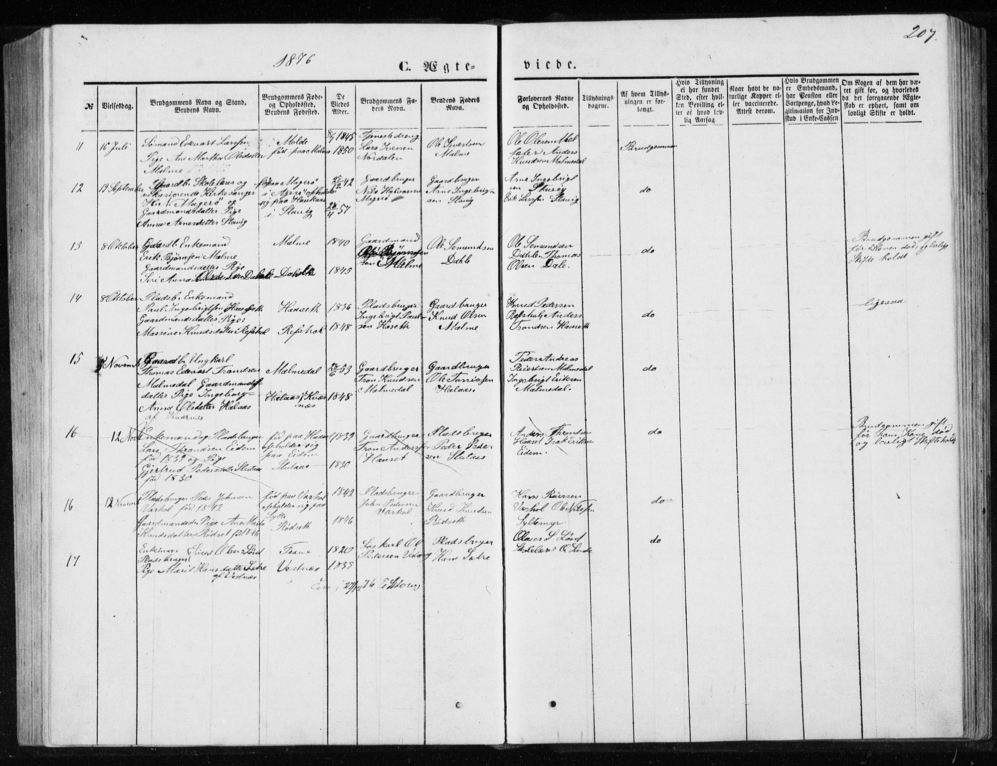 Ministerialprotokoller, klokkerbøker og fødselsregistre - Møre og Romsdal, AV/SAT-A-1454/565/L0754: Parish register (copy) no. 565C03, 1870-1896, p. 207