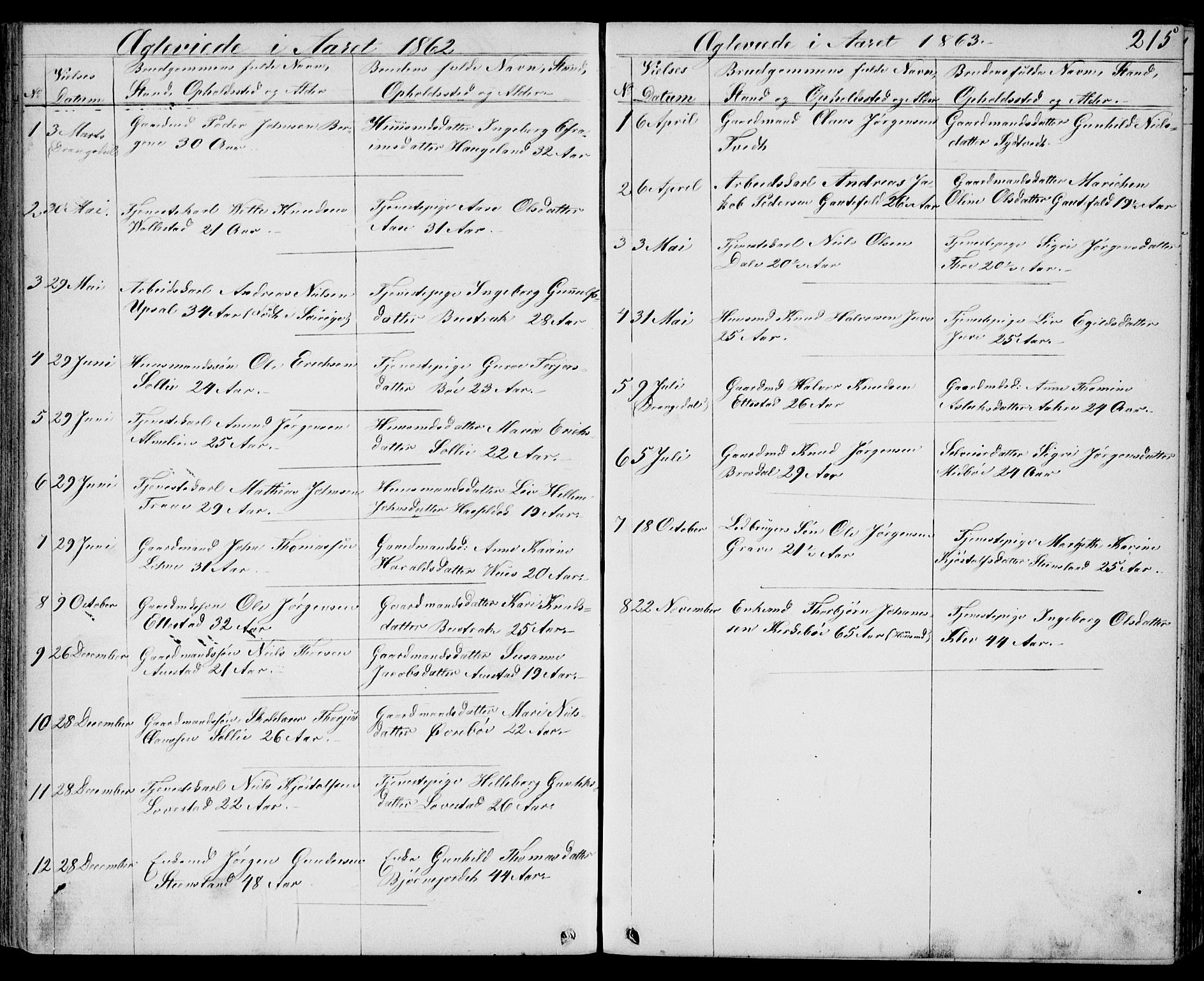 Drangedal kirkebøker, SAKO/A-258/G/Gb/L0001: Parish register (copy) no. II 1, 1856-1894, p. 215