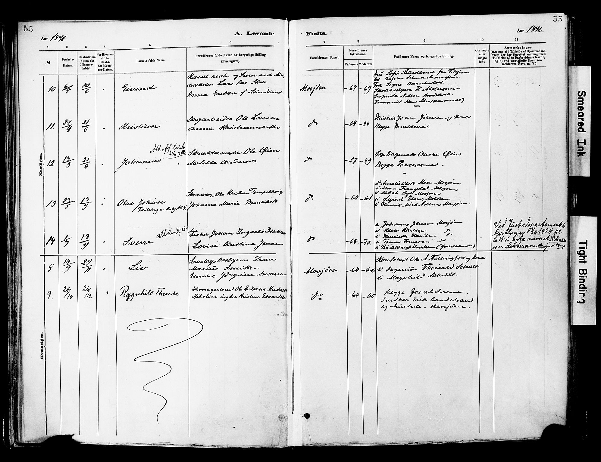 Ministerialprotokoller, klokkerbøker og fødselsregistre - Nordland, SAT/A-1459/820/L0296: Parish register (official) no. 820A17, 1880-1903, p. 55