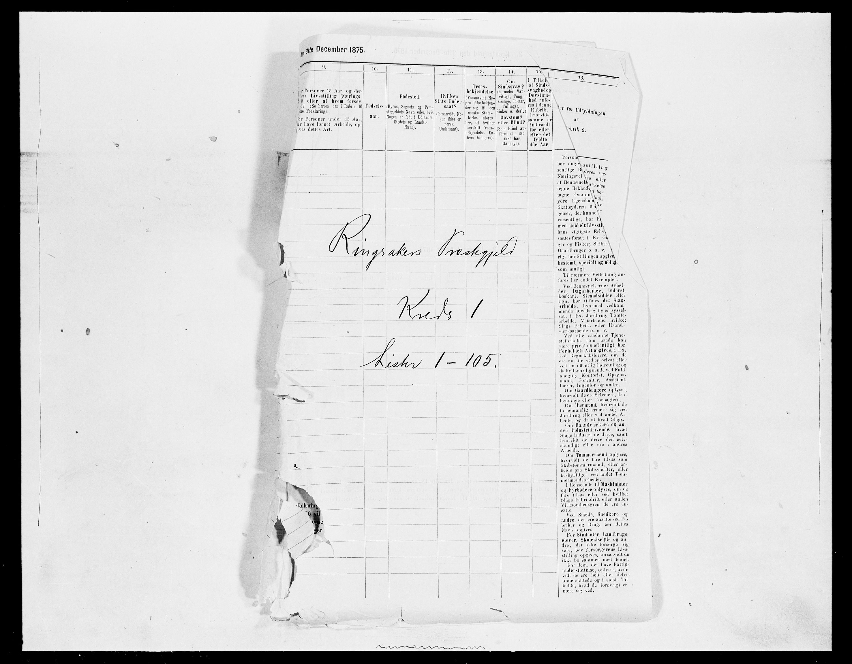 SAH, 1875 census for 0412P Ringsaker, 1875, p. 224