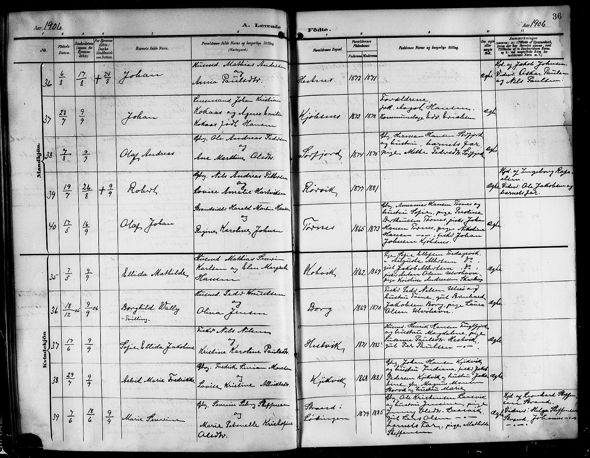 Ministerialprotokoller, klokkerbøker og fødselsregistre - Nordland, AV/SAT-A-1459/861/L0877: Parish register (copy) no. 861C03, 1903-1919, p. 36