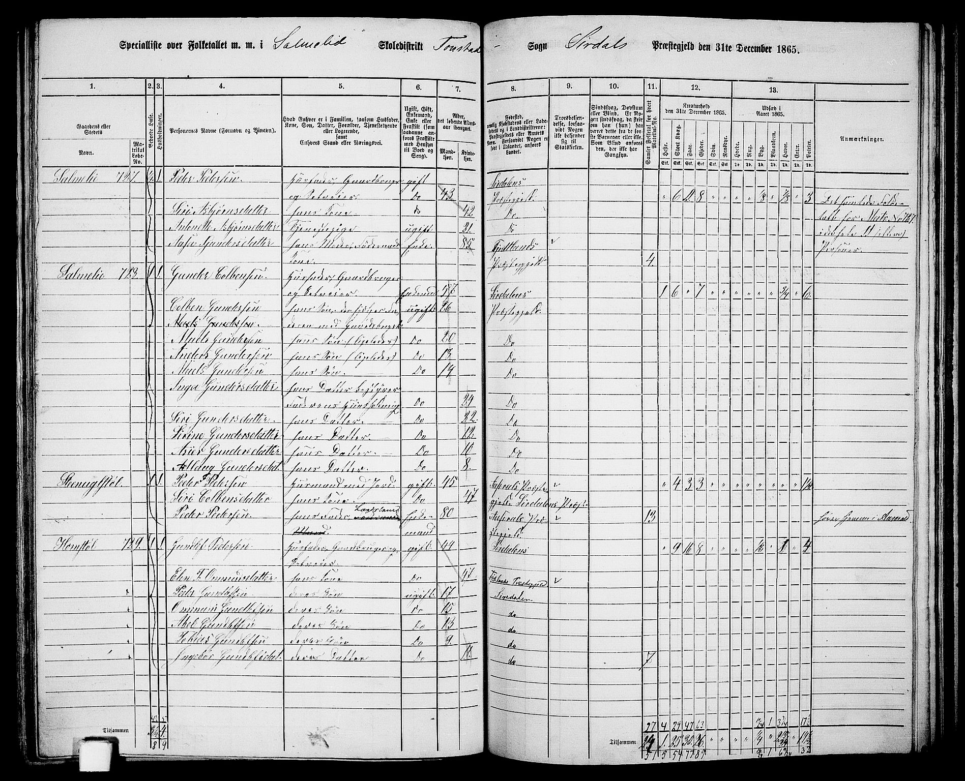 RA, 1865 census for Sirdal, 1865, p. 53