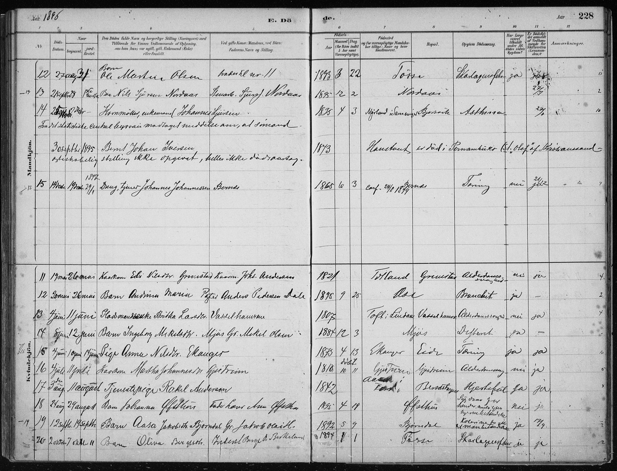 Hosanger sokneprestembete, AV/SAB-A-75801/H/Haa: Parish register (official) no. B  1, 1880-1896, p. 228