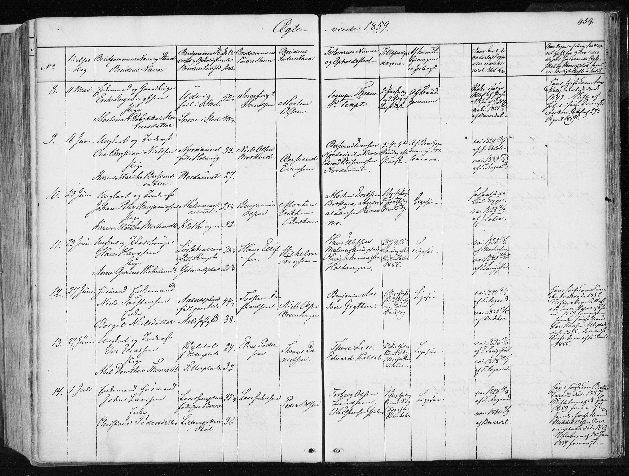 Ministerialprotokoller, klokkerbøker og fødselsregistre - Nord-Trøndelag, AV/SAT-A-1458/741/L0393: Parish register (official) no. 741A07, 1849-1863, p. 459