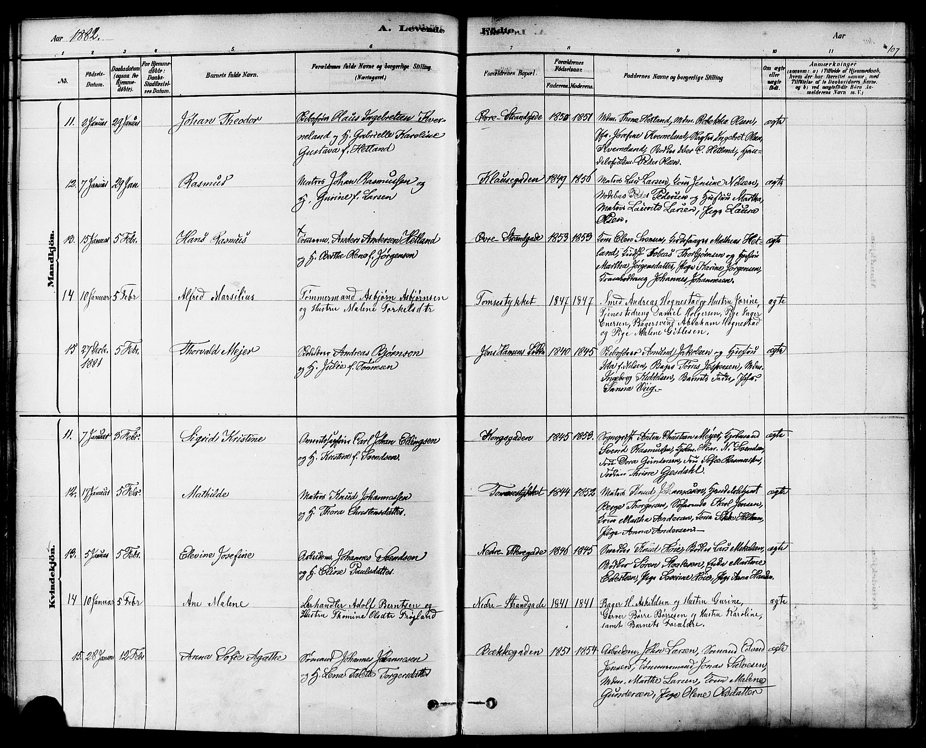 Domkirken sokneprestkontor, AV/SAST-A-101812/001/30/30BA/L0026: Parish register (official) no. A 25, 1878-1889, p. 107