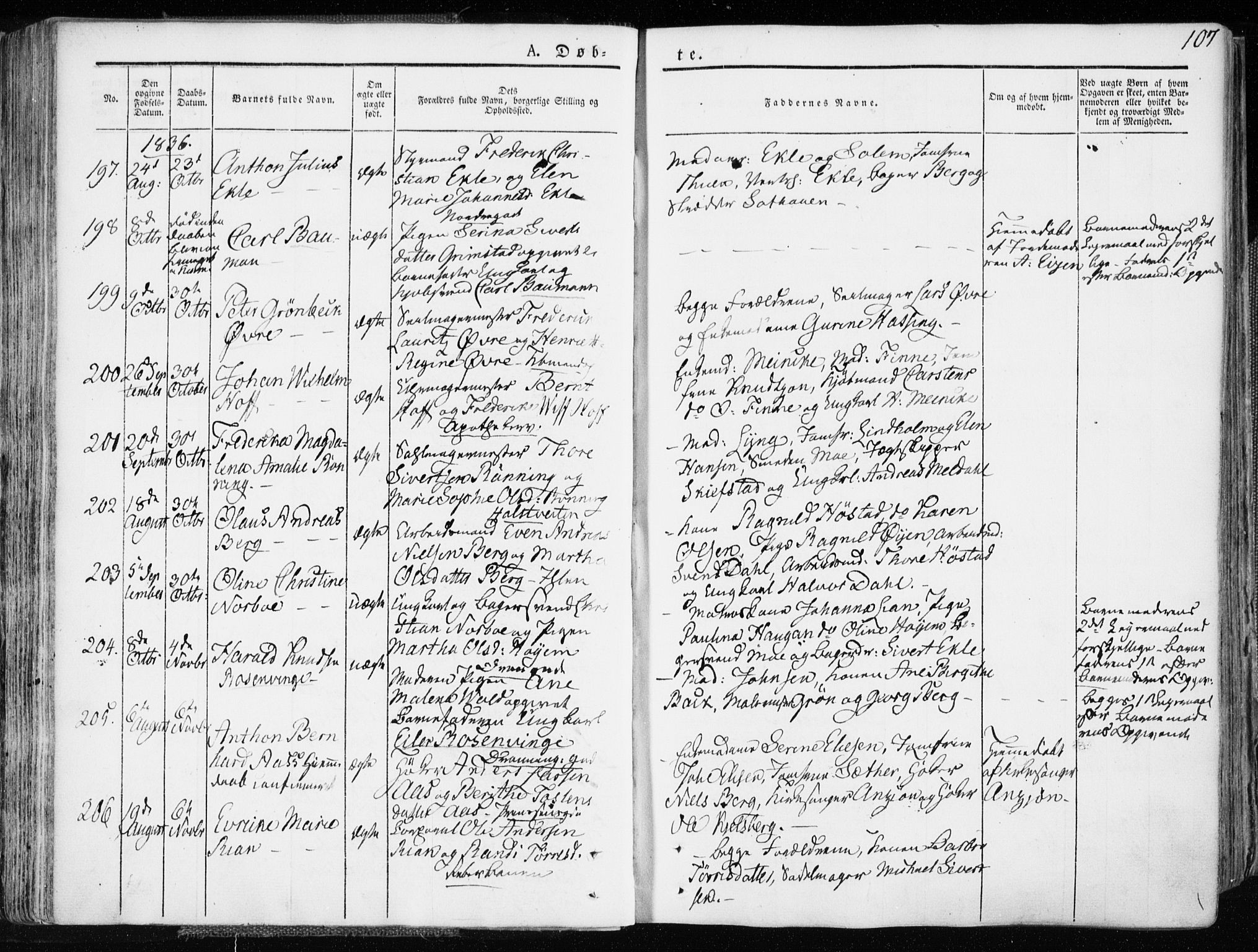 Ministerialprotokoller, klokkerbøker og fødselsregistre - Sør-Trøndelag, AV/SAT-A-1456/601/L0047: Parish register (official) no. 601A15, 1831-1839, p. 107