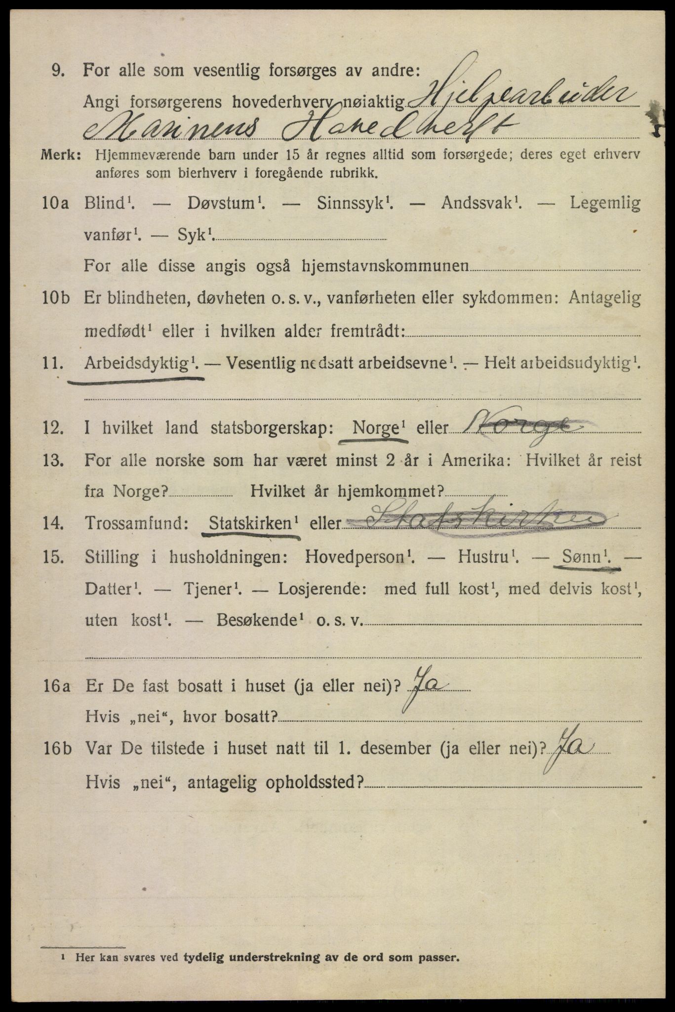 SAKO, 1920 census for Borre, 1920, p. 1413