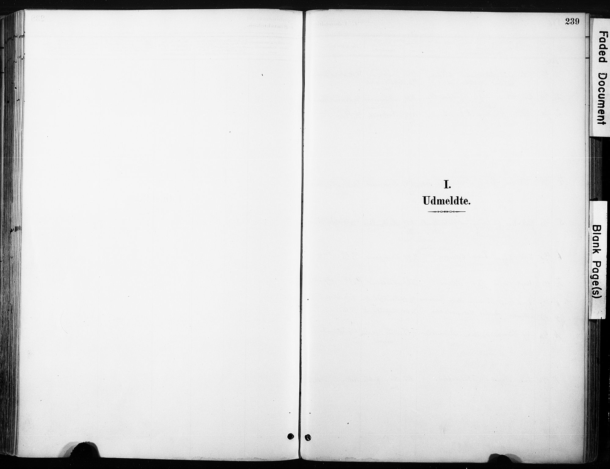 Nore kirkebøker, AV/SAKO-A-238/F/Fb/L0002: Parish register (official) no. II 2, 1886-1906, p. 239