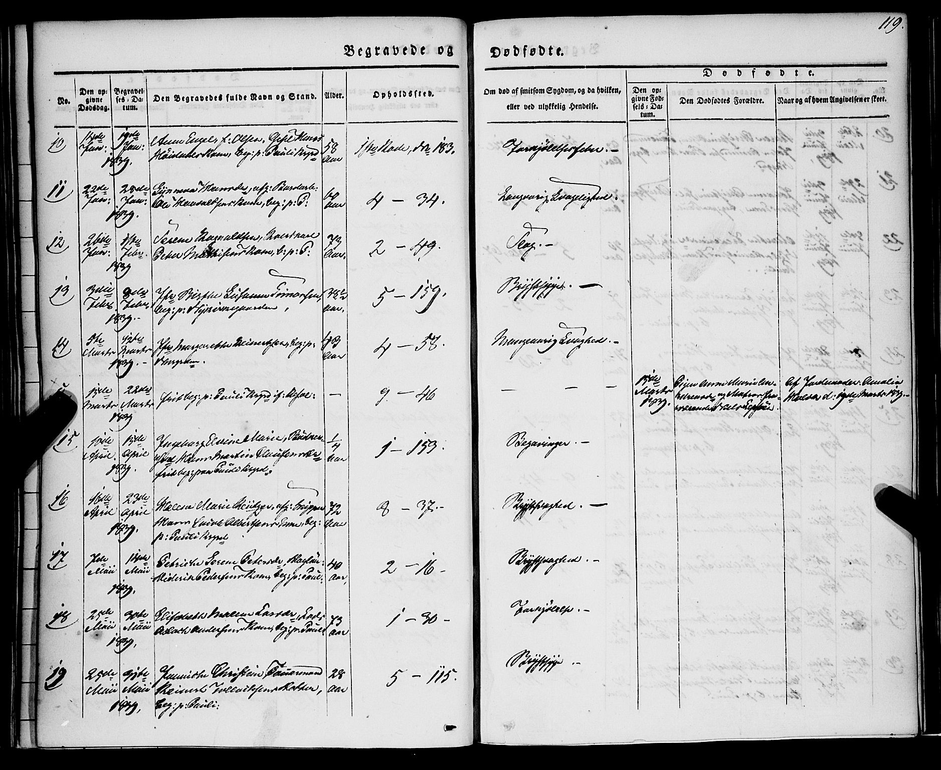 Nykirken Sokneprestembete, SAB/A-77101/H/Haa/L0041: Parish register (official) no. E 1, 1833-1850, p. 119