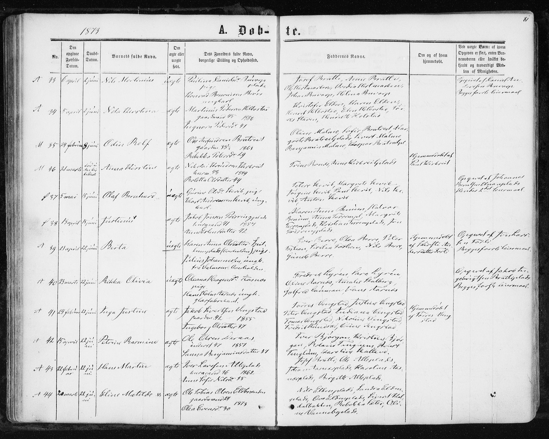 Ministerialprotokoller, klokkerbøker og fødselsregistre - Nord-Trøndelag, SAT/A-1458/741/L0394: Parish register (official) no. 741A08, 1864-1877, p. 81