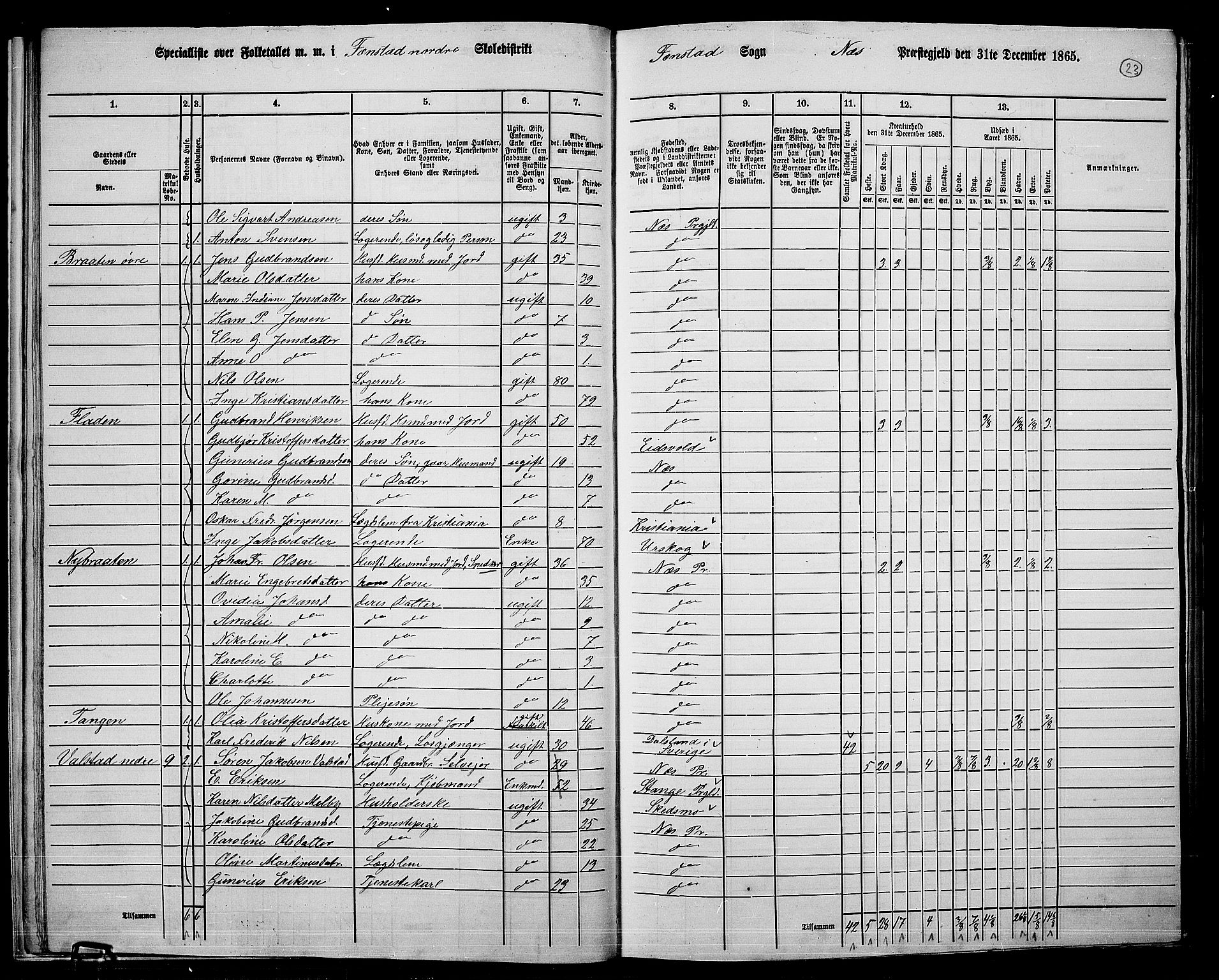 RA, 1865 census for Nes, 1865, p. 22