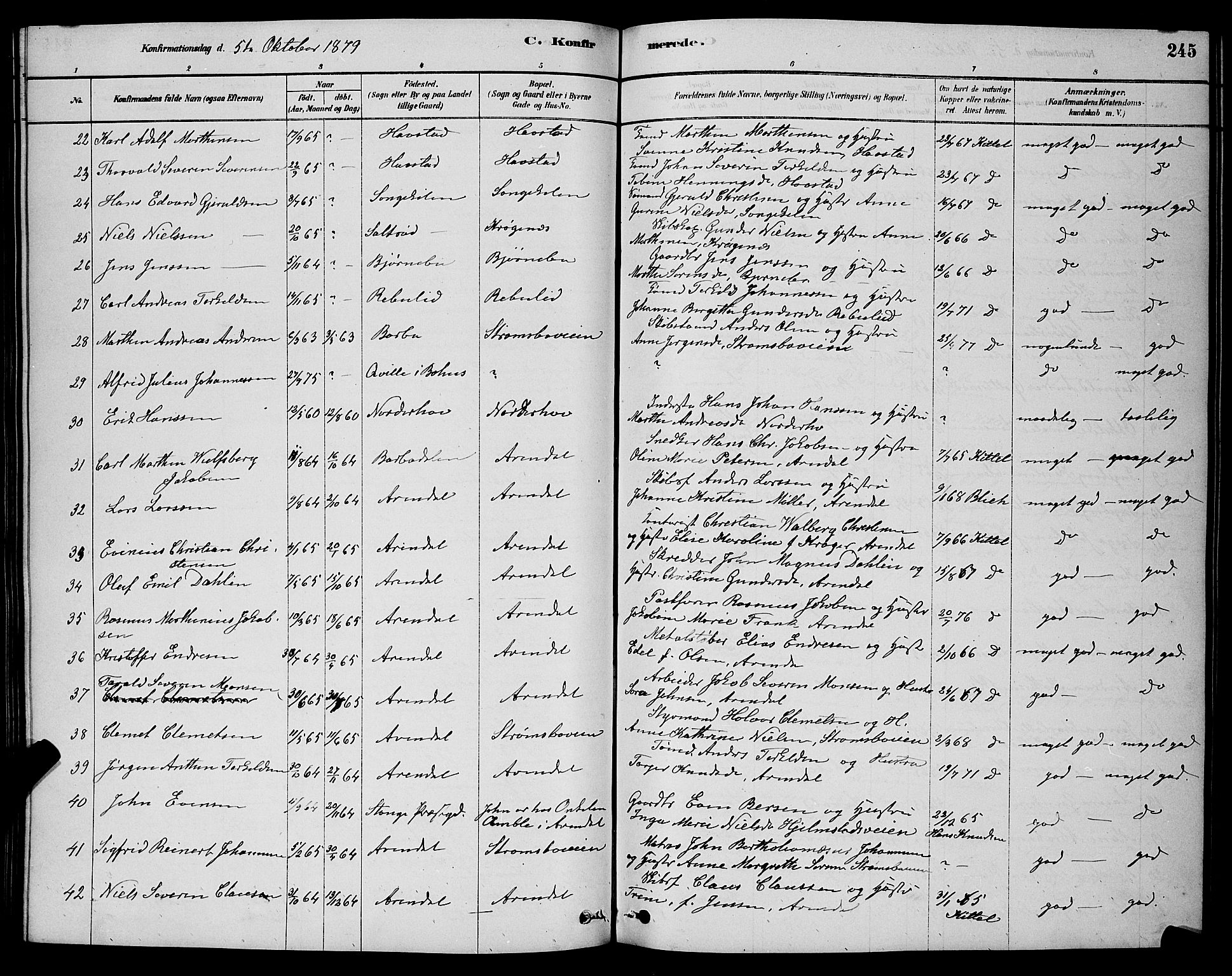 Barbu sokneprestkontor, AV/SAK-1111-0003/F/Fb/L0001: Parish register (copy) no. B 1, 1878-1890, p. 245