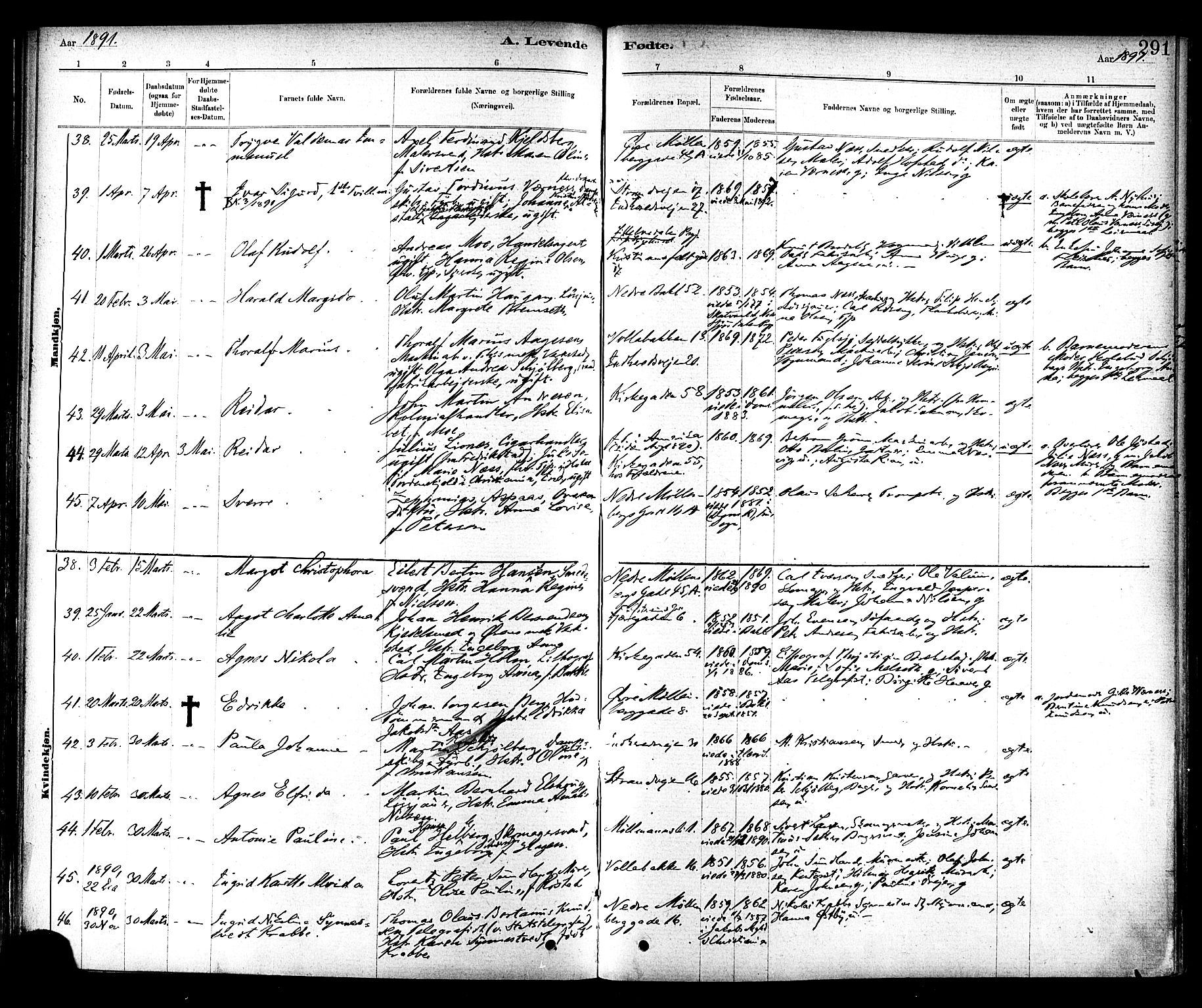 Ministerialprotokoller, klokkerbøker og fødselsregistre - Sør-Trøndelag, SAT/A-1456/604/L0188: Parish register (official) no. 604A09, 1878-1892, p. 291