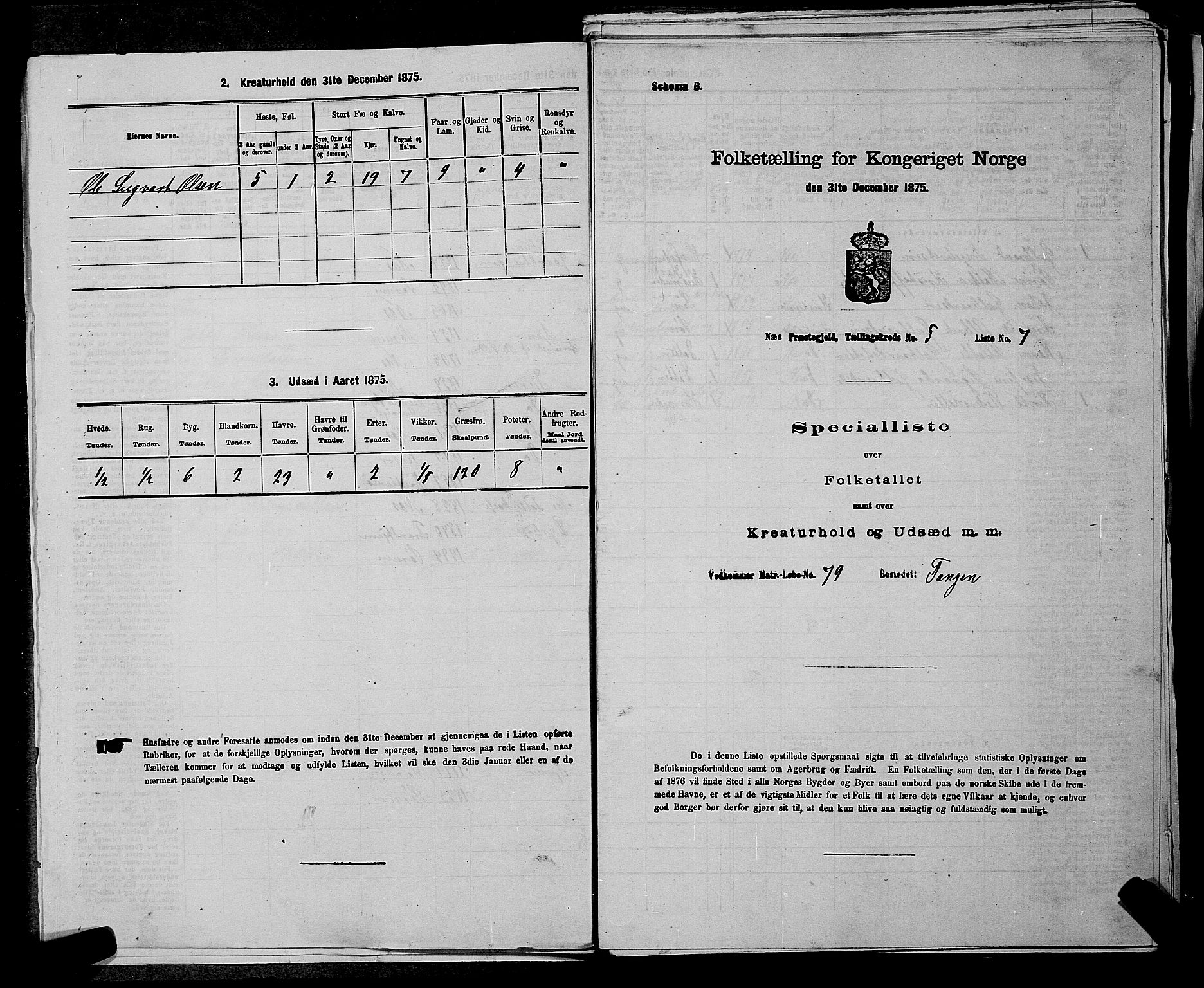 RA, 1875 census for 0236P Nes, 1875, p. 703