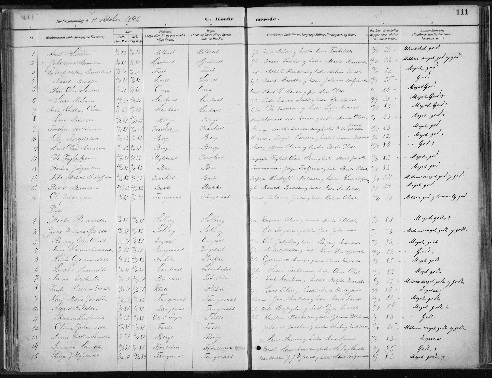 Strandebarm sokneprestembete, AV/SAB-A-78401/H/Haa: Parish register (official) no. B  1, 1886-1908, p. 111