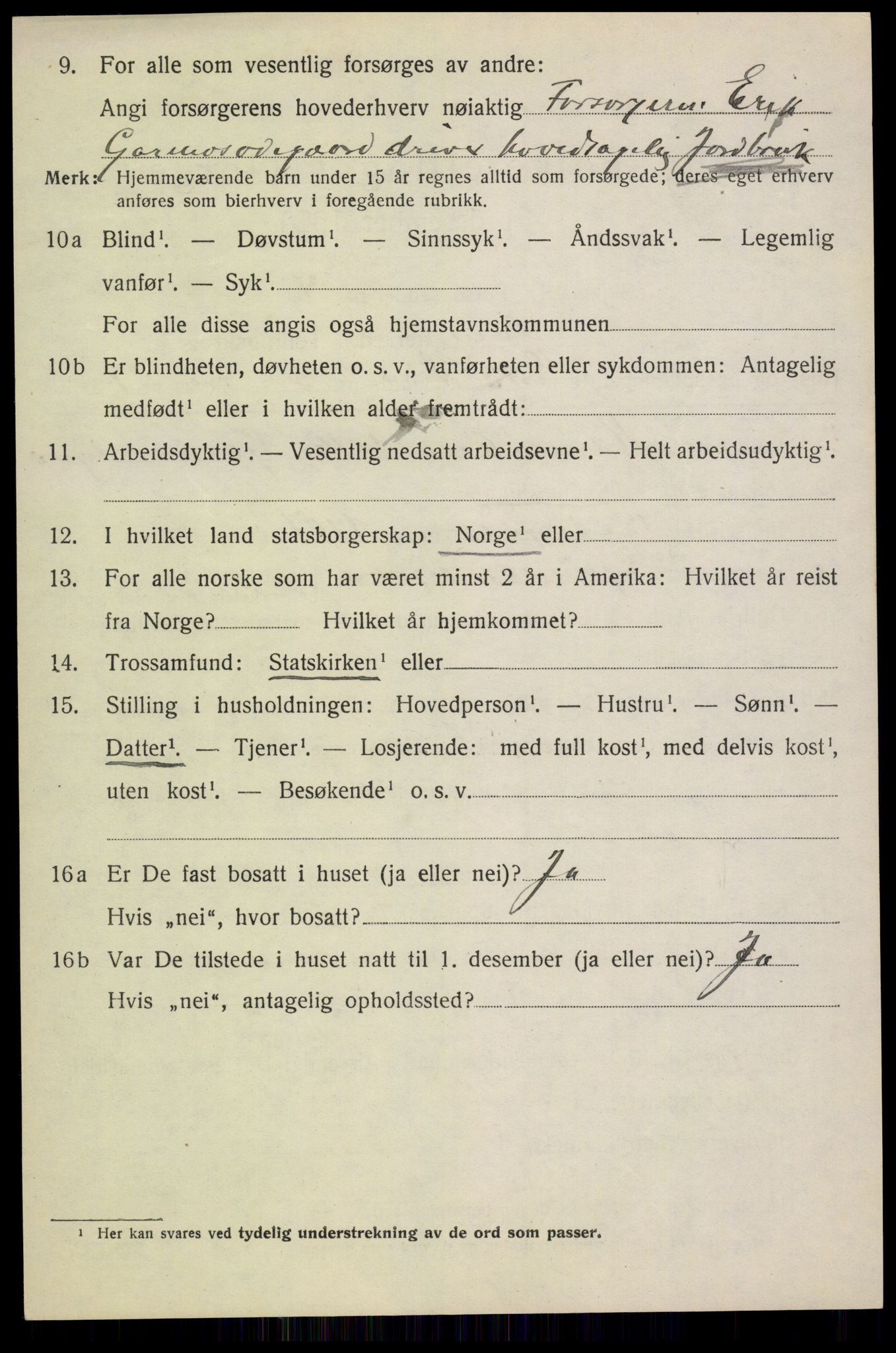 SAH, 1920 census for Lom, 1920, p. 1941