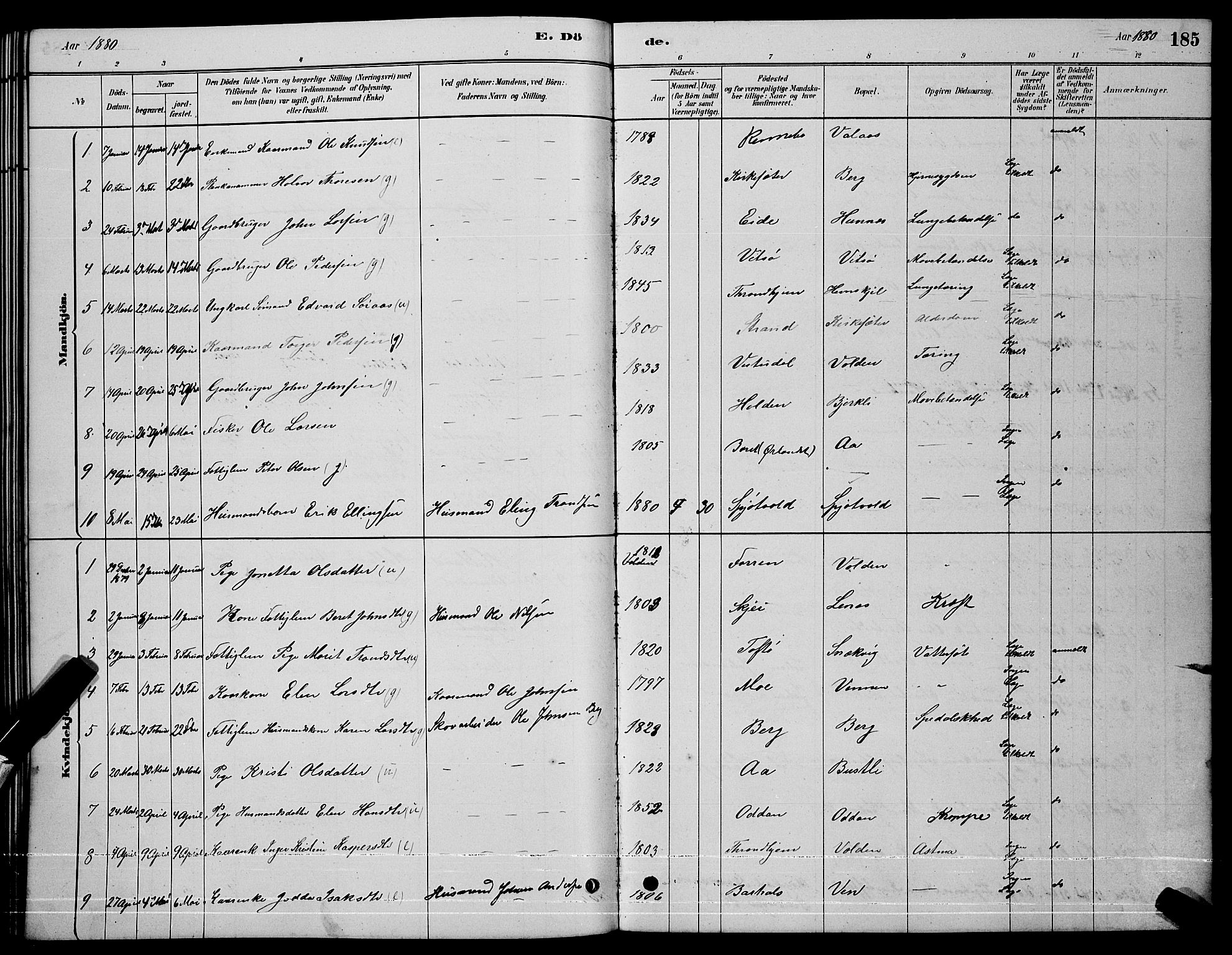 Ministerialprotokoller, klokkerbøker og fødselsregistre - Sør-Trøndelag, AV/SAT-A-1456/630/L0504: Parish register (copy) no. 630C02, 1879-1898, p. 185