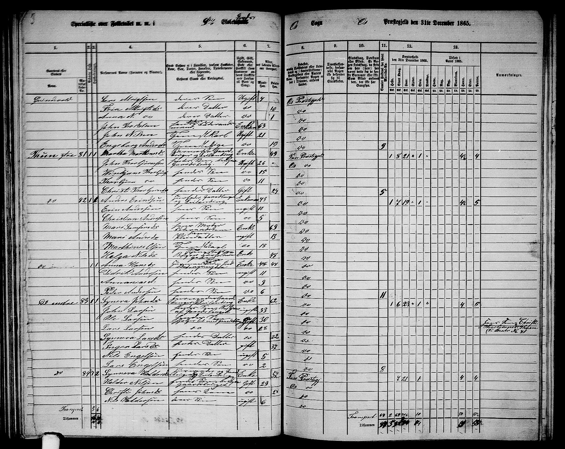 RA, 1865 census for Os, 1865, p. 48