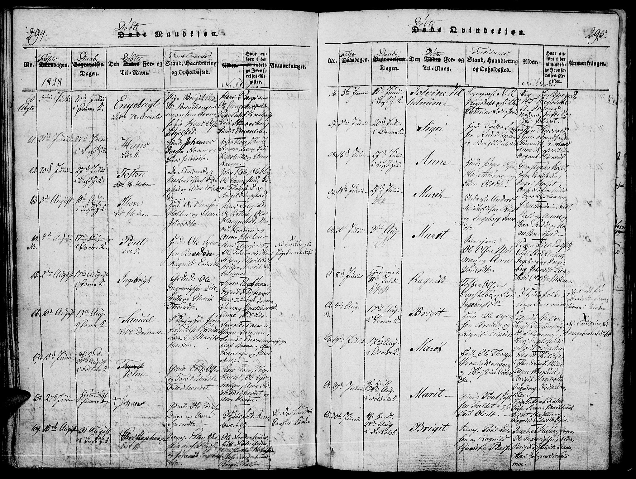 Lesja prestekontor, SAH/PREST-068/H/Ha/Haa/L0004: Parish register (official) no. 4, 1820-1829, p. 294-295