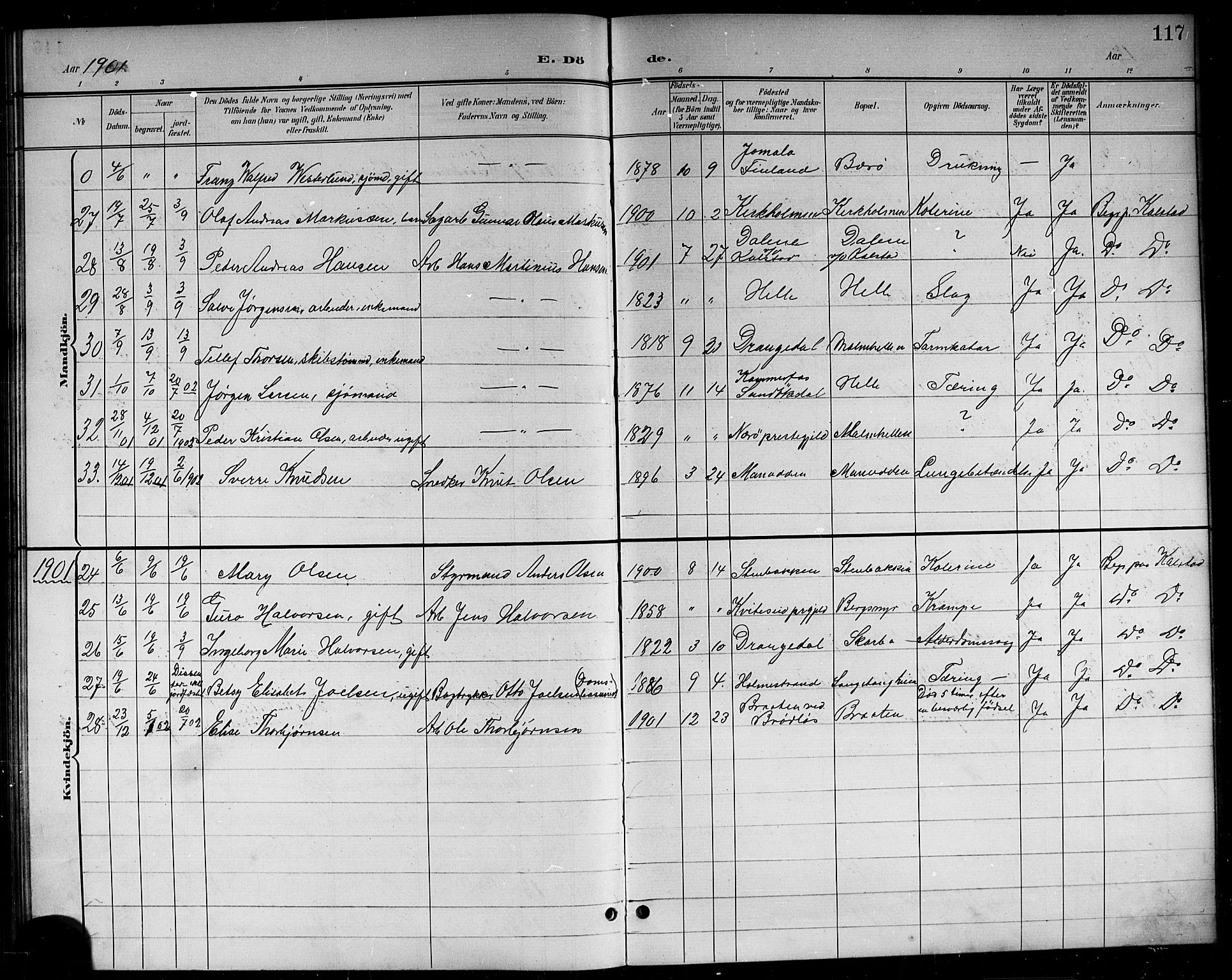 Skåtøy kirkebøker, SAKO/A-304/G/Ga/L0004: Parish register (copy) no. I 4, 1898-1916, p. 117