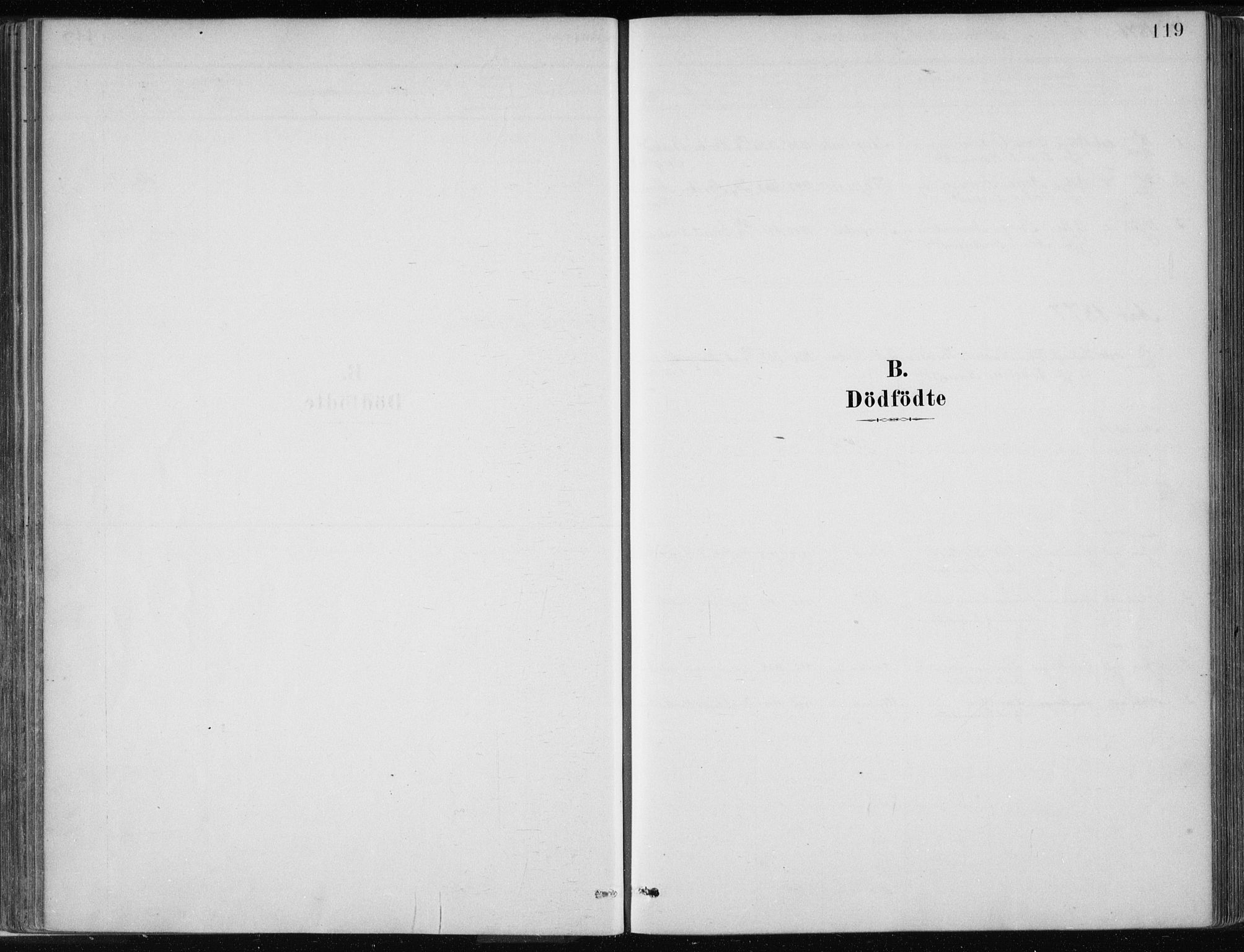Masfjorden Sokneprestembete, SAB/A-77001: Parish register (official) no. B  1, 1876-1899, p. 119
