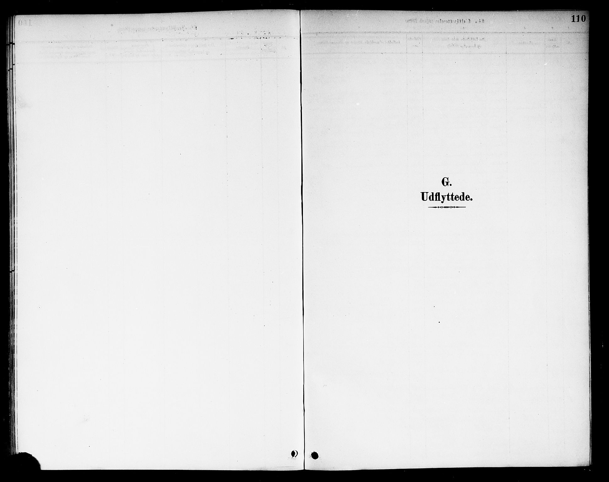 Berg prestekontor Kirkebøker, SAO/A-10902/F/Fb/L0002: Parish register (official) no. II 2, 1888-1902, p. 110