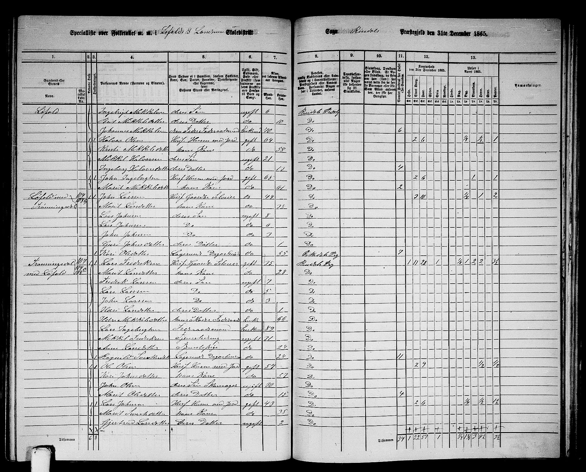 RA, 1865 census for Rindal, 1865, p. 56