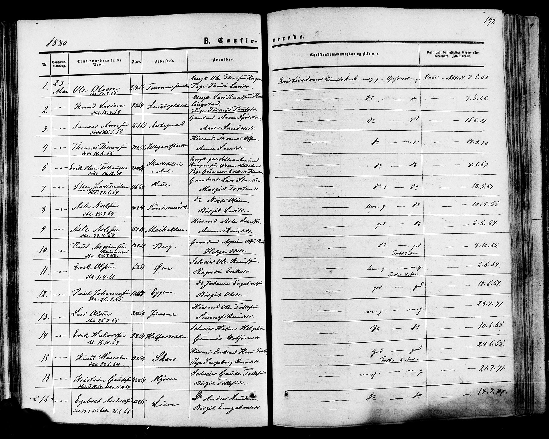Hol kirkebøker, AV/SAKO-A-227/F/Fa/L0002: Parish register (official) no. I 2, 1870-1886, p. 192