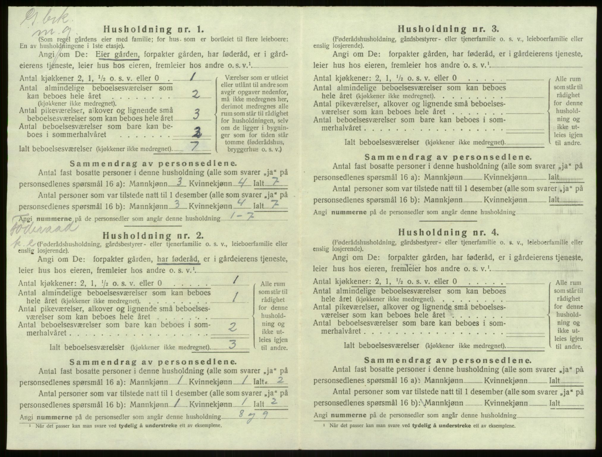 SAB, 1920 census for Lærdal, 1920, p. 207