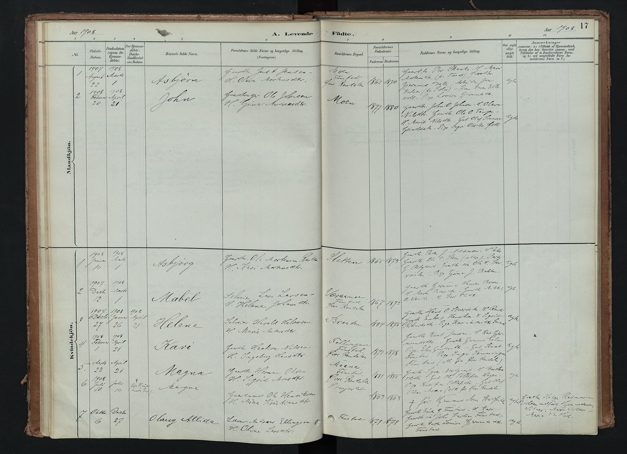 Tynset prestekontor, SAH/PREST-058/H/Ha/Haa/L0024: Parish register (official) no. 24, 1885-1916, p. 17