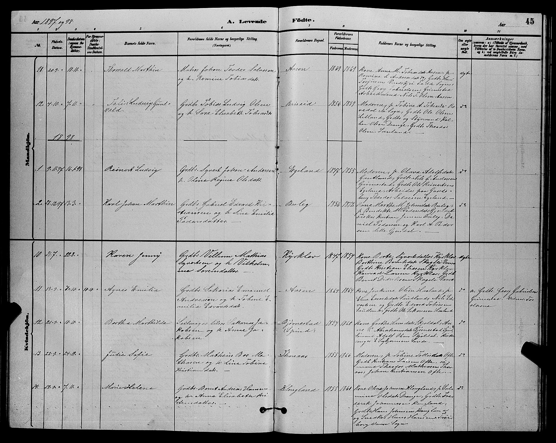 Herad sokneprestkontor, AV/SAK-1111-0018/F/Fb/Fba/L0004: Parish register (copy) no. B 4, 1882-1899, p. 45