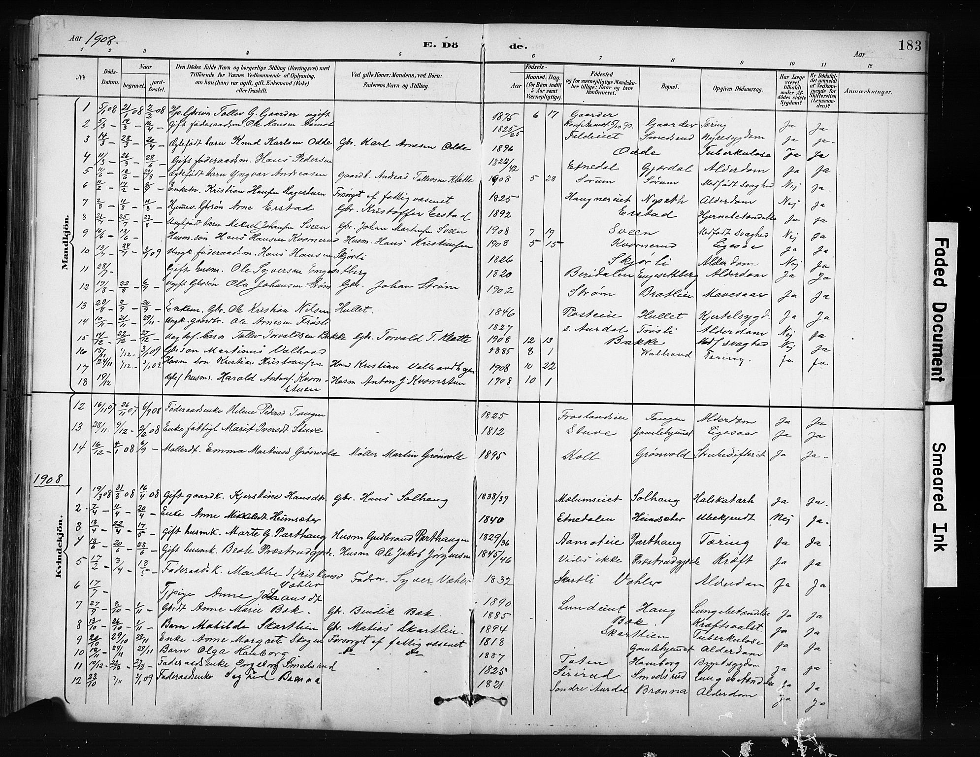 Nordre Land prestekontor, AV/SAH-PREST-124/H/Ha/Hab/L0012: Parish register (copy) no. 12, 1891-1909, p. 183