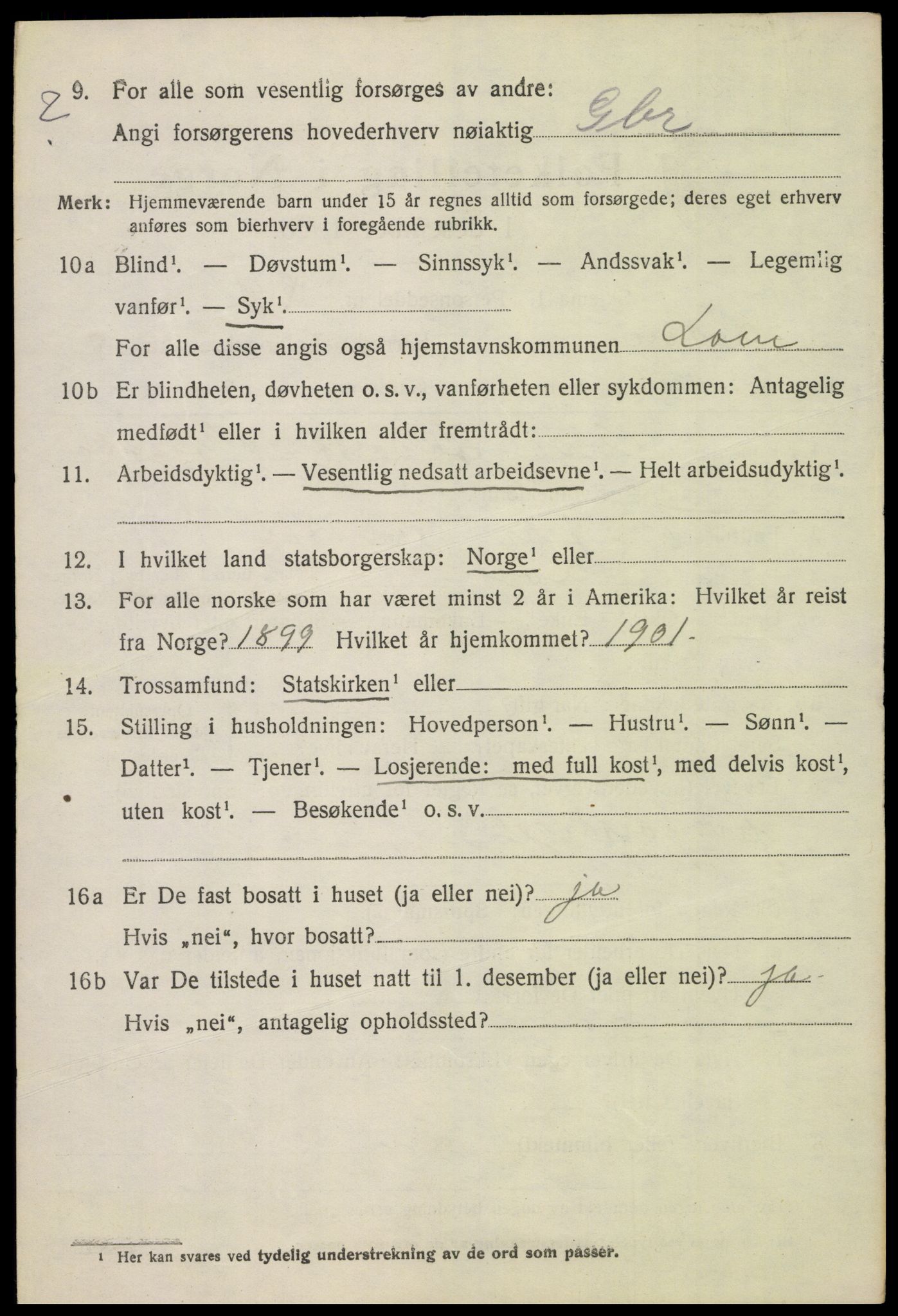 SAH, 1920 census for Lom, 1920, p. 3155