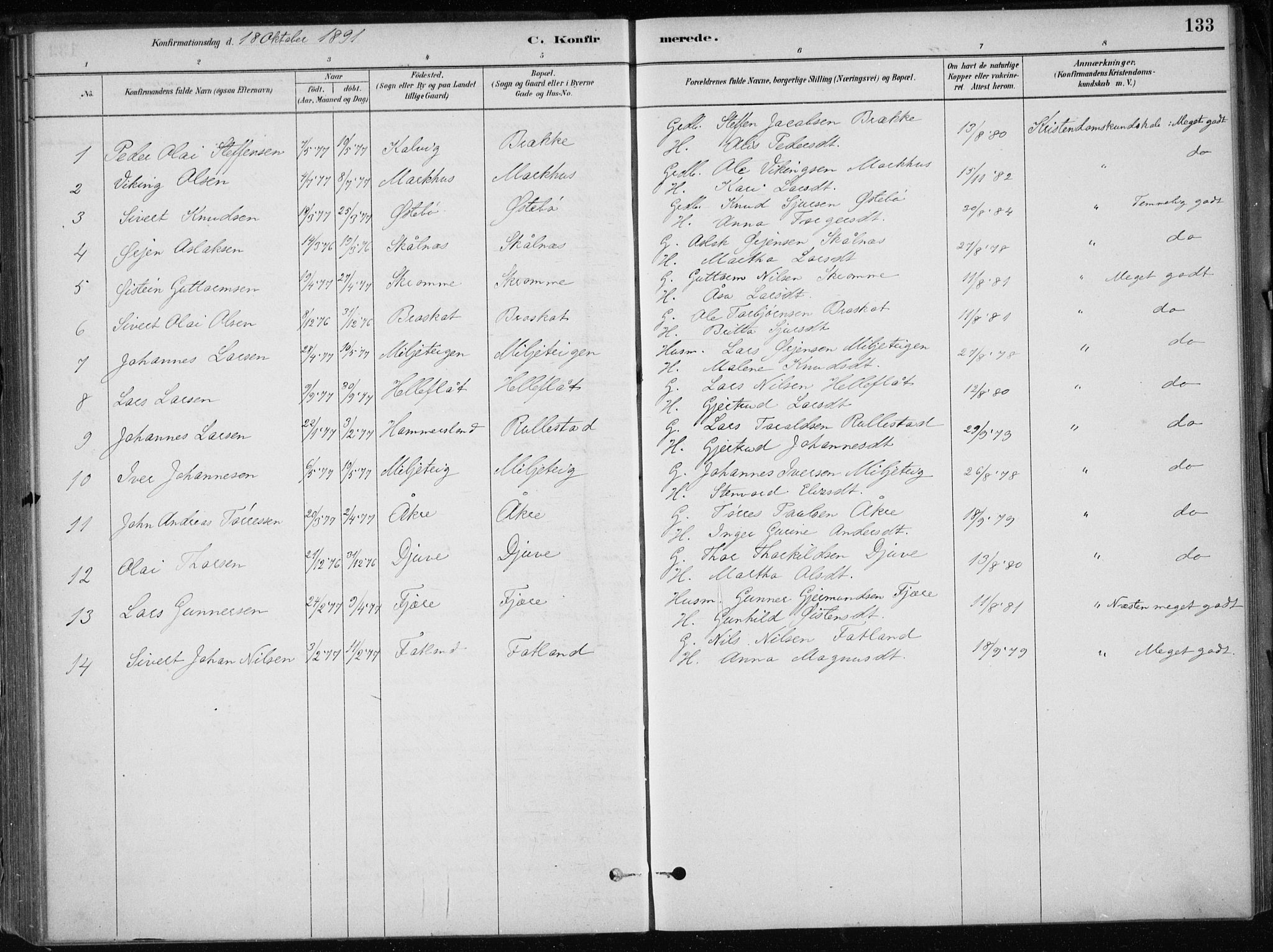 Skånevik sokneprestembete, SAB/A-77801/H/Haa: Parish register (official) no. E  1, 1879-1901, p. 133