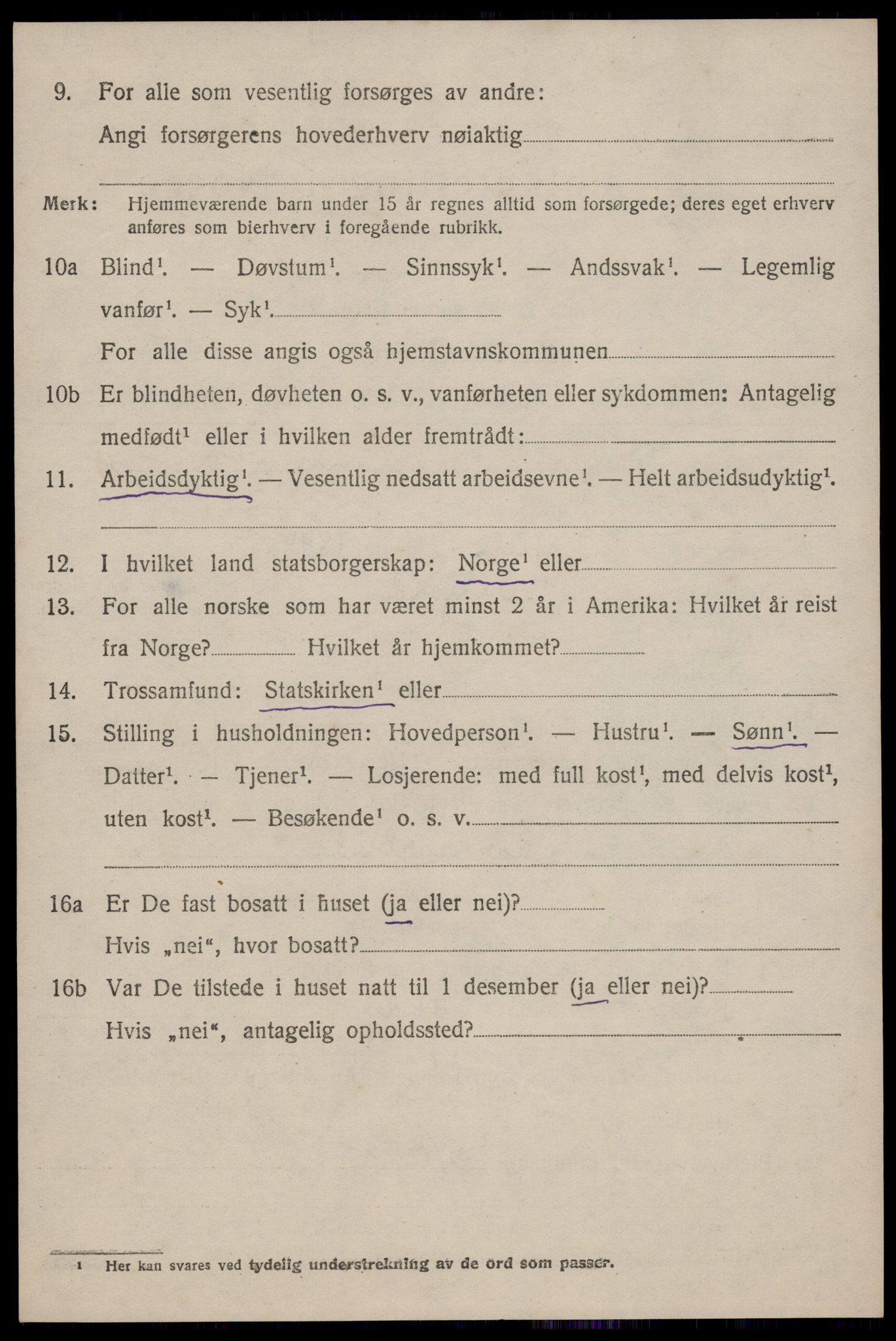 SAKO, 1920 census for Seljord, 1920, p. 6155