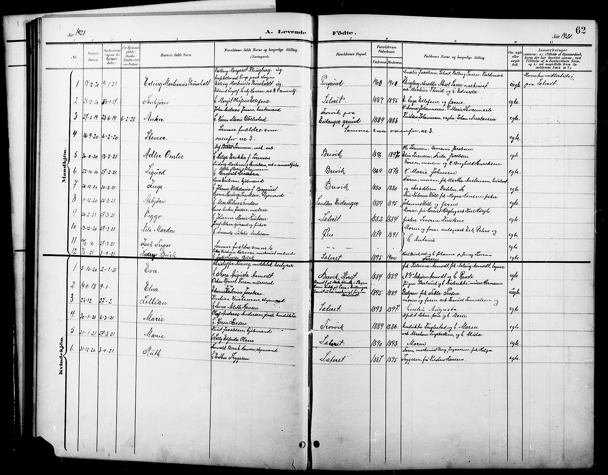 Brevik kirkebøker, SAKO/A-255/G/Ga/L0005: Parish register (copy) no. 5, 1901-1924, p. 62