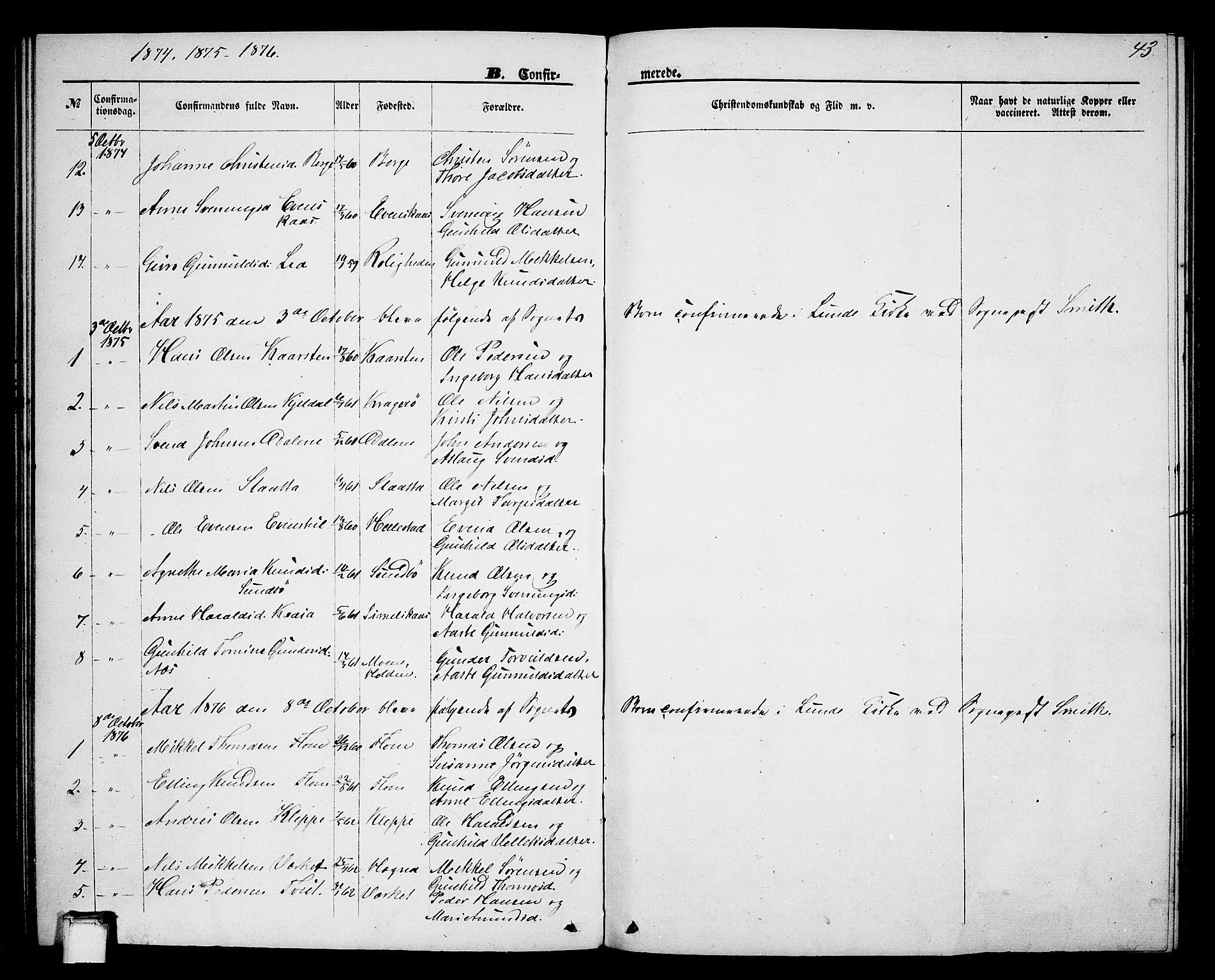 Lunde kirkebøker, SAKO/A-282/G/Gb/L0001: Parish register (copy) no. II 1, 1866-1887, p. 43