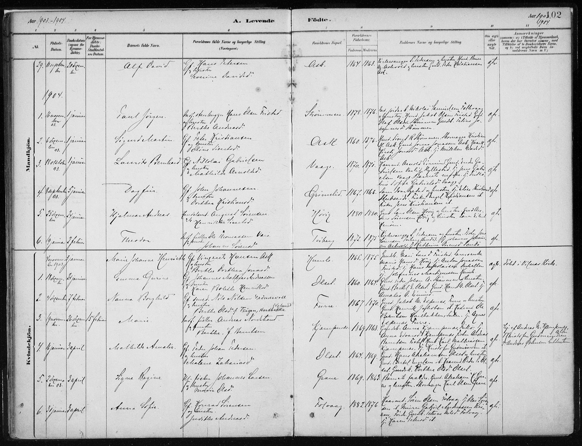 Askvoll sokneprestembete, SAB/A-79501/H/Haa/Haab/L0002: Parish register (official) no. B 2, 1879-1909, p. 102
