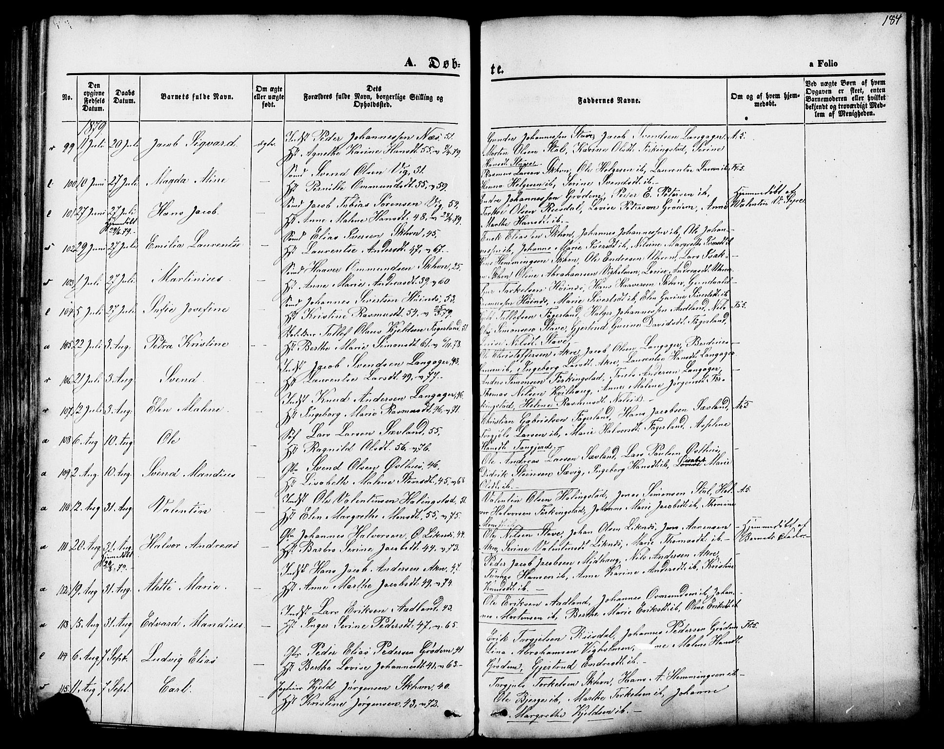 Skudenes sokneprestkontor, SAST/A -101849/H/Ha/Haa/L0006: Parish register (official) no. A 4, 1864-1881, p. 184