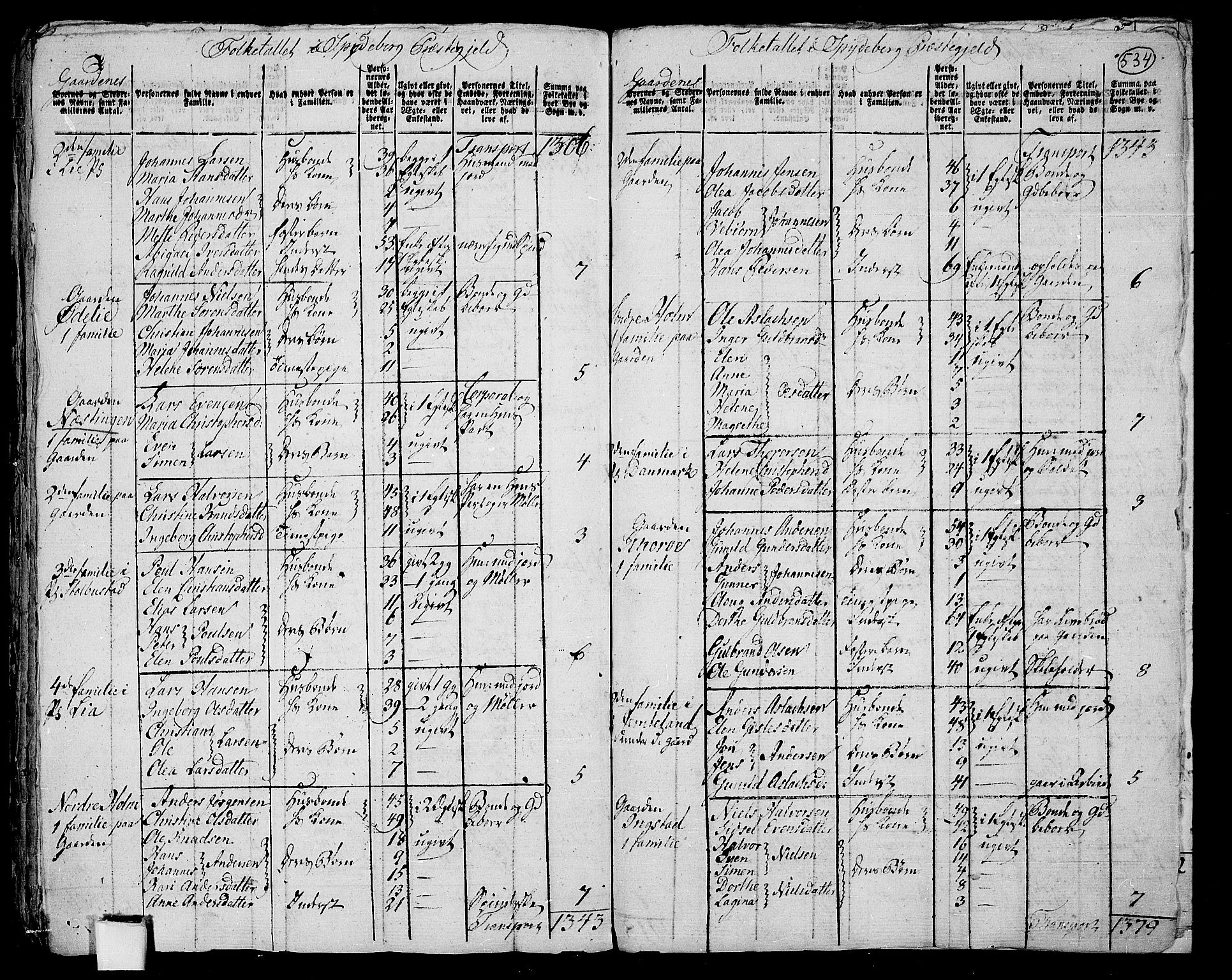 RA, 1801 census for 0123P Spydeberg, 1801, p. 533b-534a