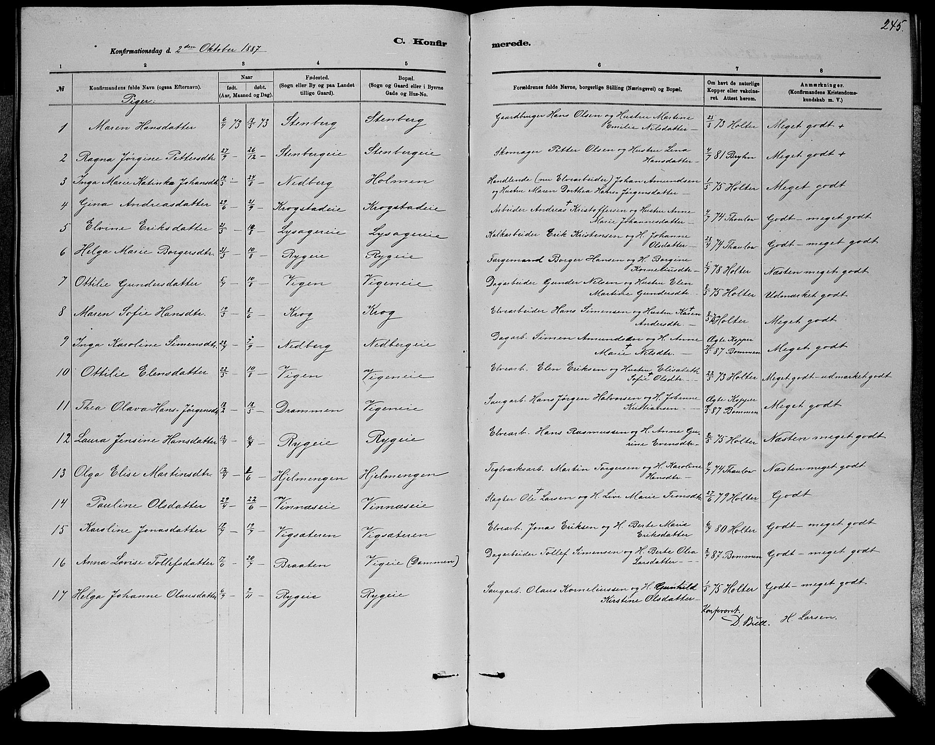 Nedre Eiker kirkebøker, AV/SAKO-A-612/G/Ga/L0002: Parish register (copy) no. 2, 1880-1896, p. 245