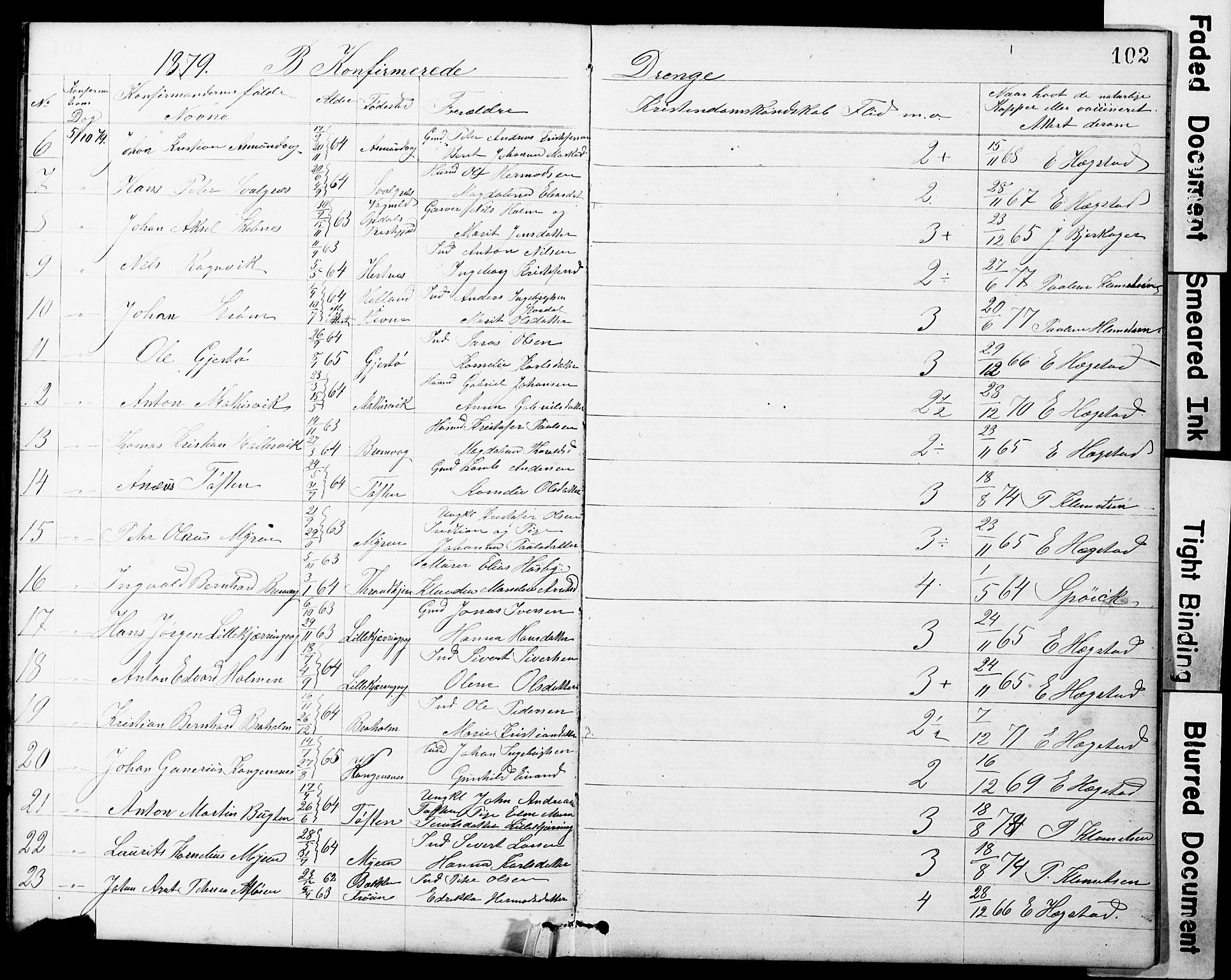Ministerialprotokoller, klokkerbøker og fødselsregistre - Sør-Trøndelag, SAT/A-1456/634/L0541: Parish register (copy) no. 634C03, 1874-1891, p. 102
