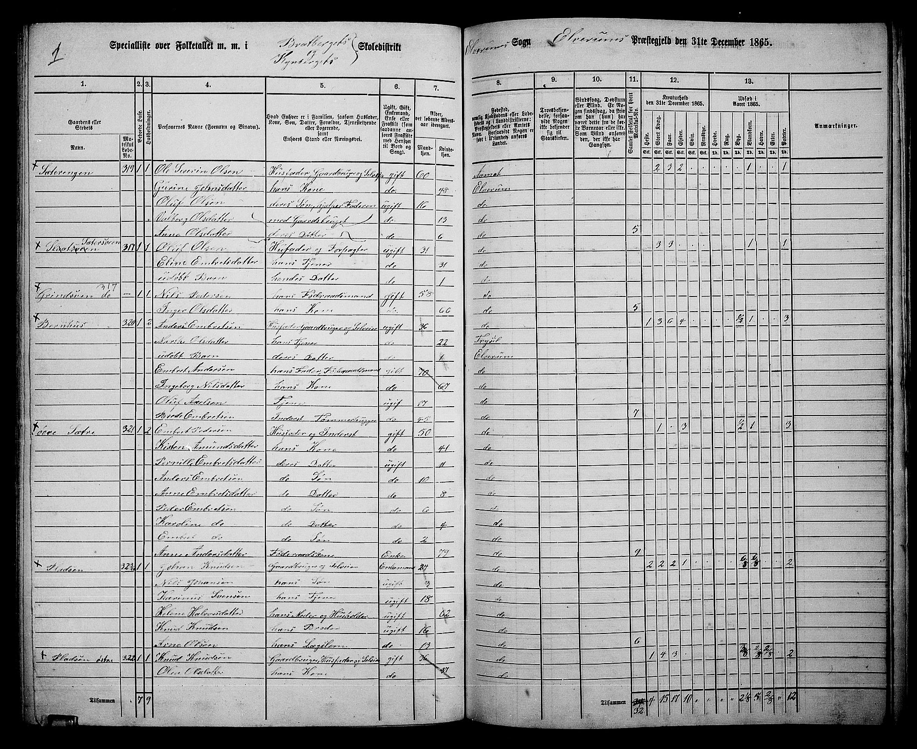 RA, 1865 census for Elverum, 1865, p. 217