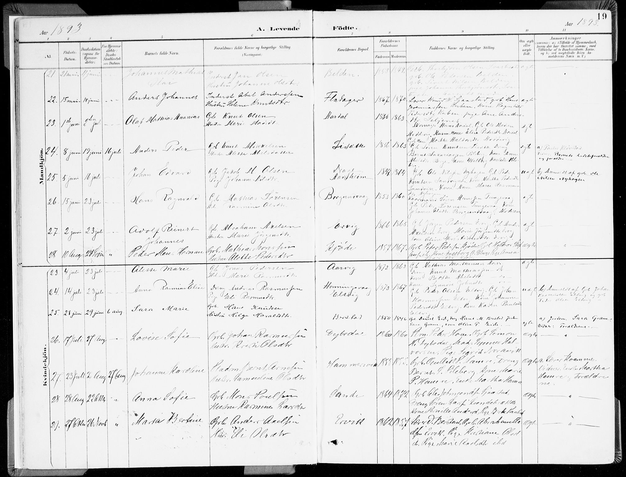 Selje sokneprestembete, AV/SAB-A-99938/H/Ha/Haa/Haab: Parish register (official) no. B 2, 1891-1907, p. 19