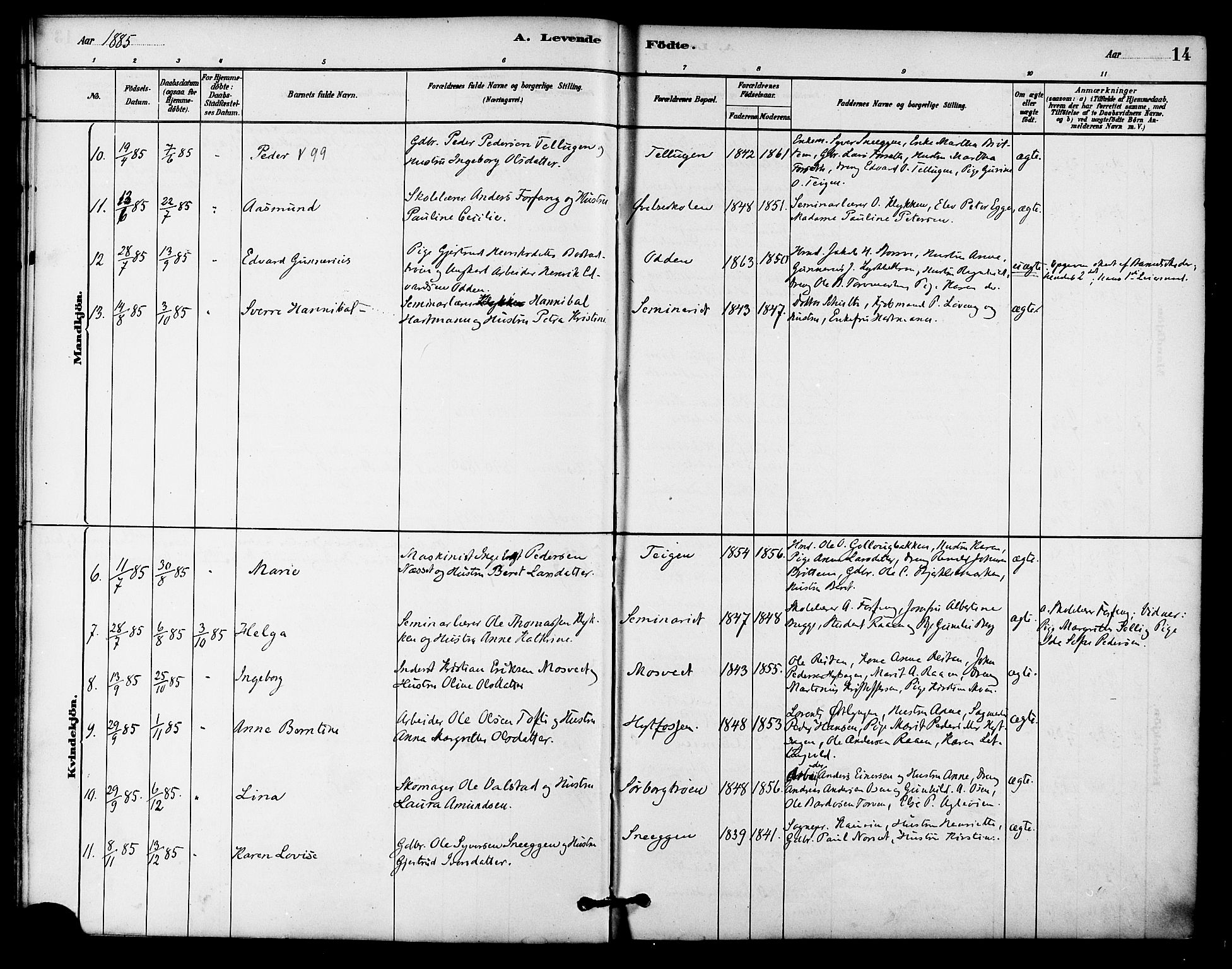 Ministerialprotokoller, klokkerbøker og fødselsregistre - Sør-Trøndelag, AV/SAT-A-1456/618/L0444: Parish register (official) no. 618A07, 1880-1898, p. 14