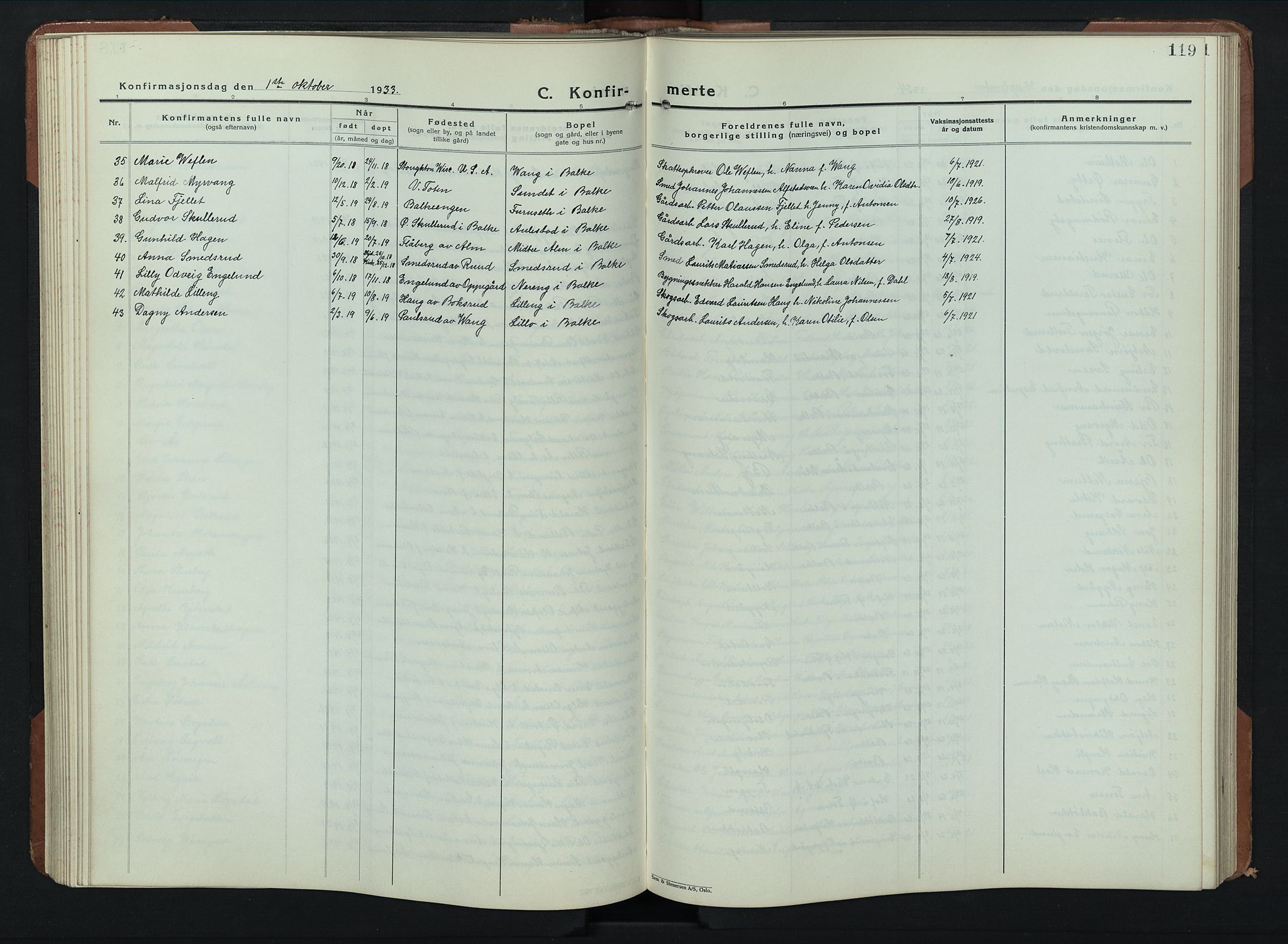 Balke prestekontor, SAH/PREST-106/H/Ha/Hab/L0002: Parish register (copy) no. 2, 1929-1951, p. 119