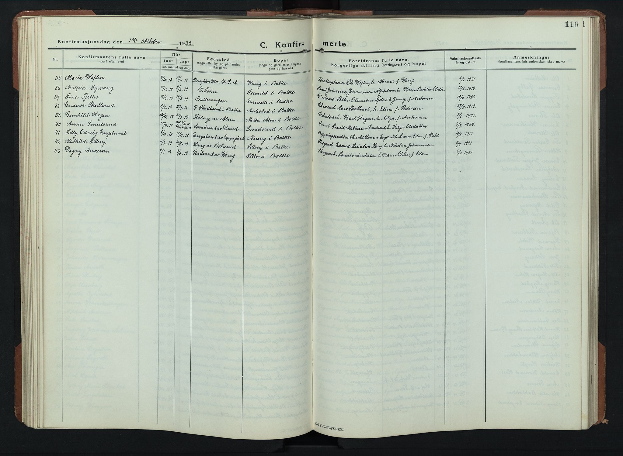 Balke prestekontor, AV/SAH-PREST-106/H/Ha/Hab/L0002: Parish register (copy) no. 2, 1929-1951, p. 119